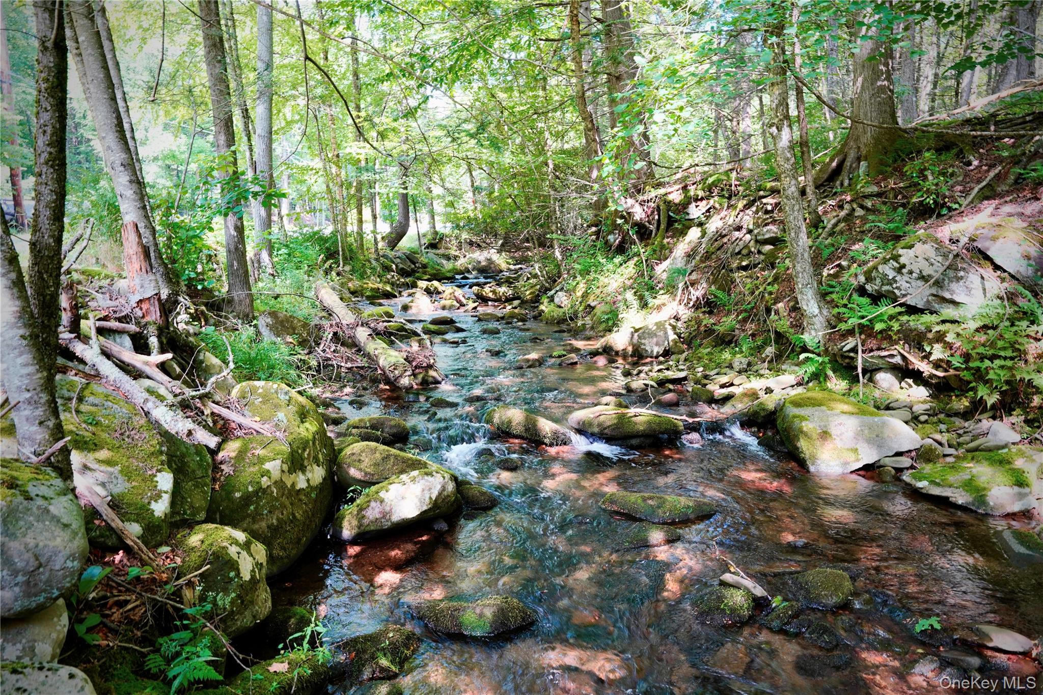 283 Pepacton Hollow Road Property Photo 45