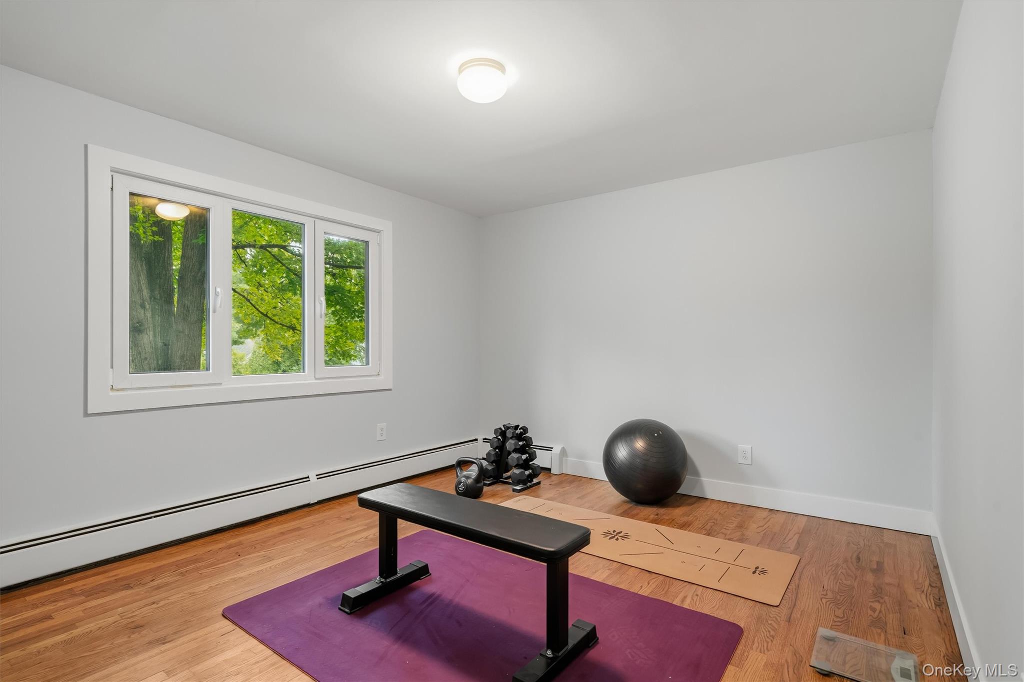 44 David Lane Property Photo 18