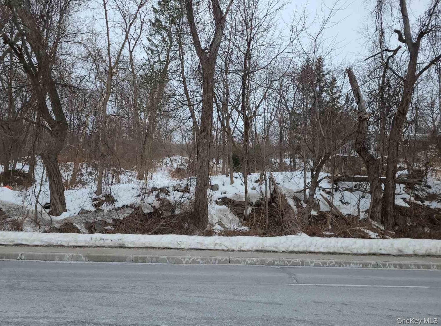 991-997 Route 9w Property Photo 2