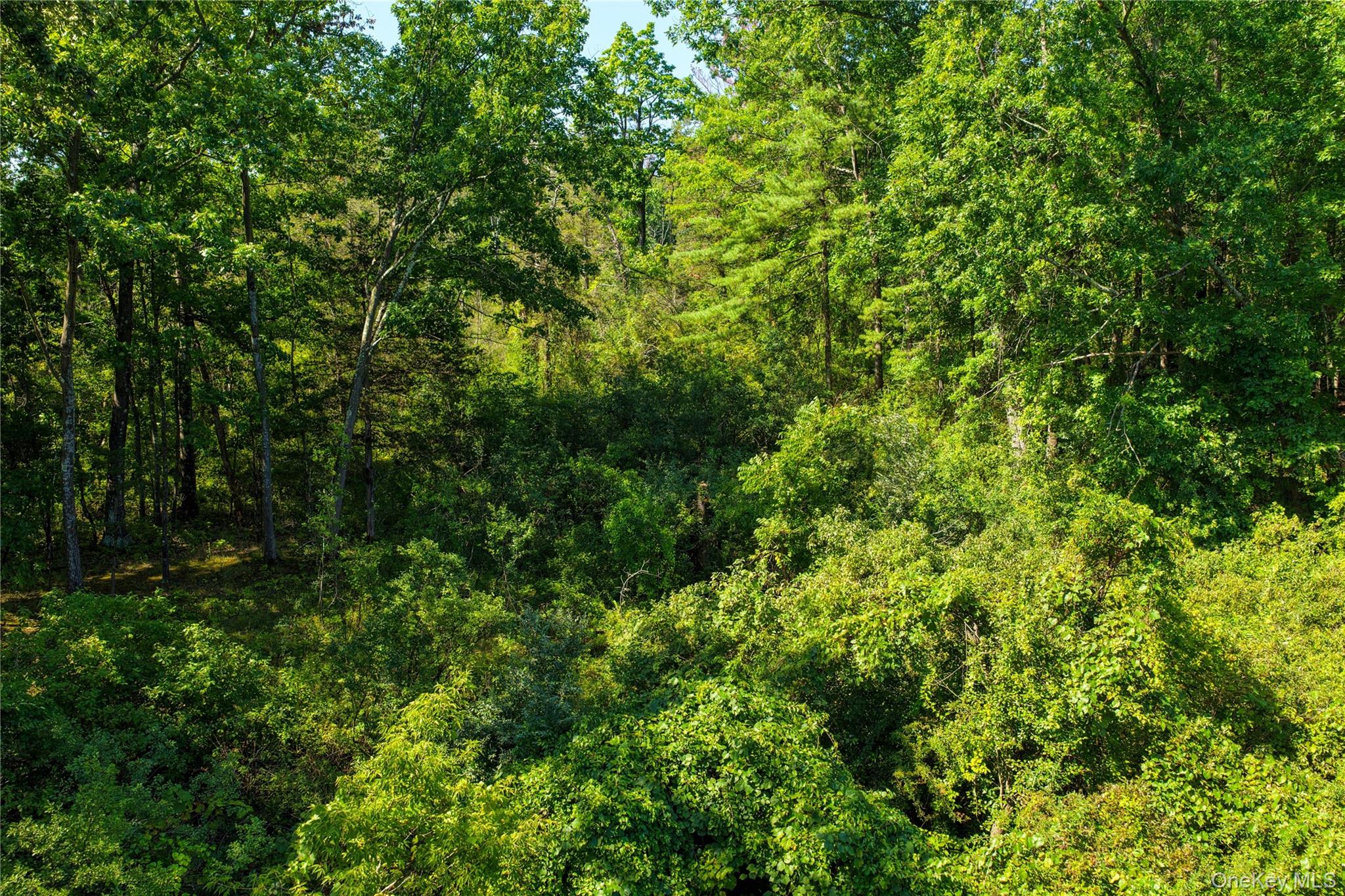 673 Embought Road Property Photo 11