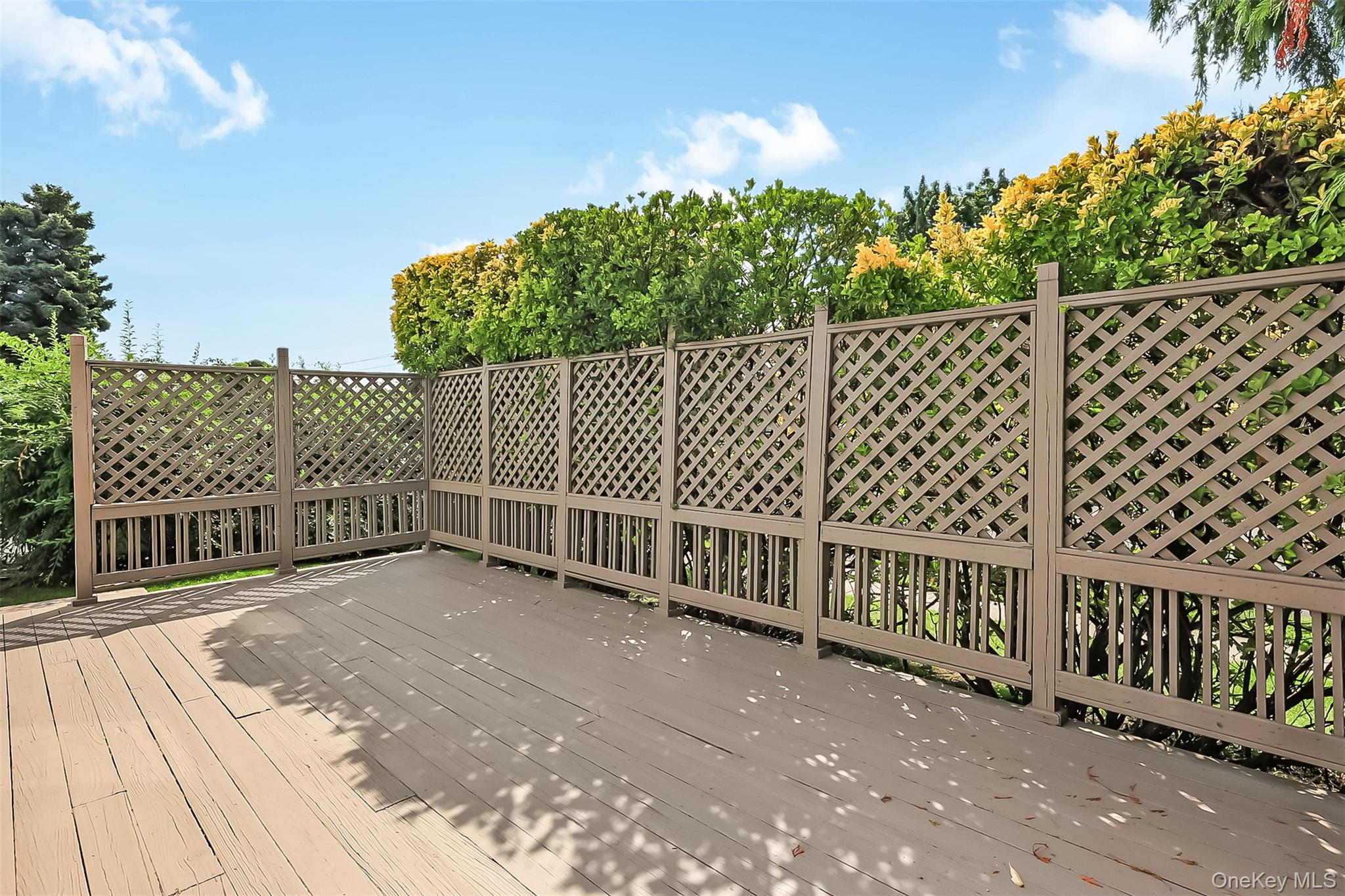 65 Graham Street Property Photo 25