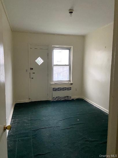 323 E 91st Street Property Photo 5