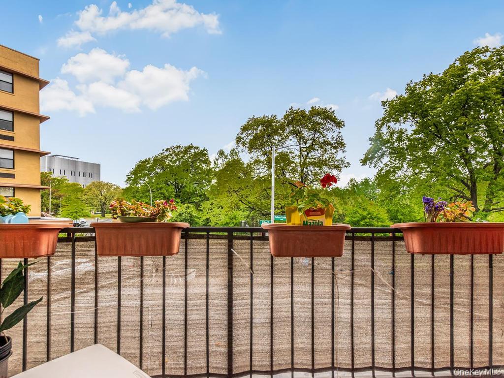 1874 Pelham Parkway 2p Property Photo 24