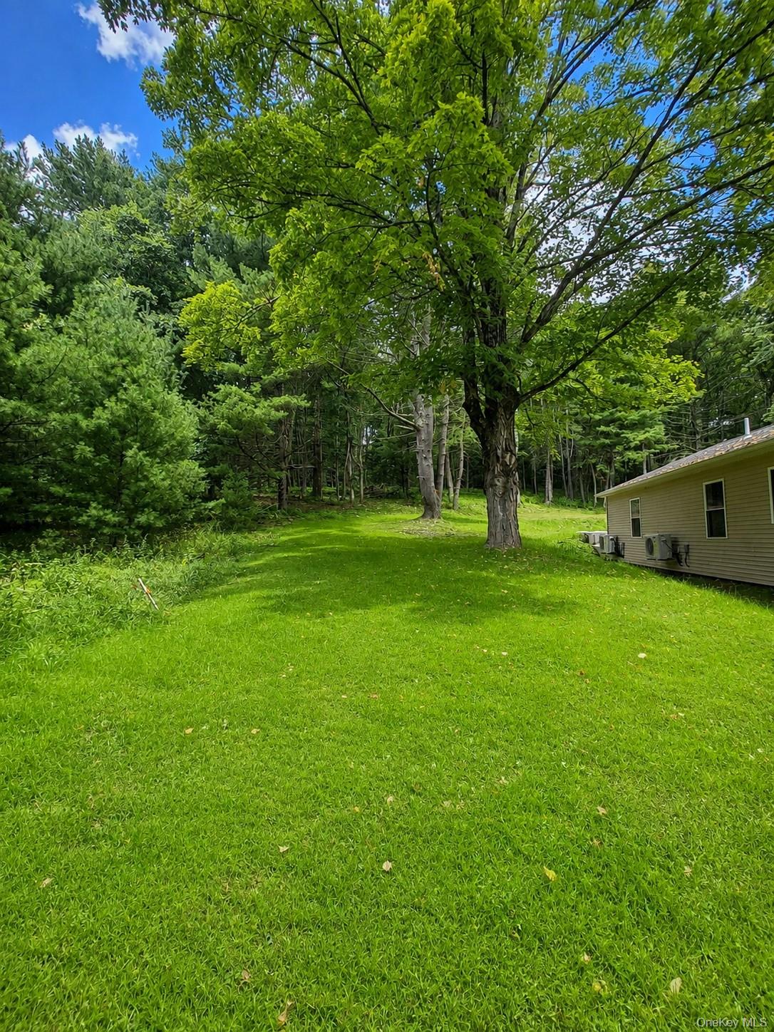 943 State Route 55 Property Photo 31