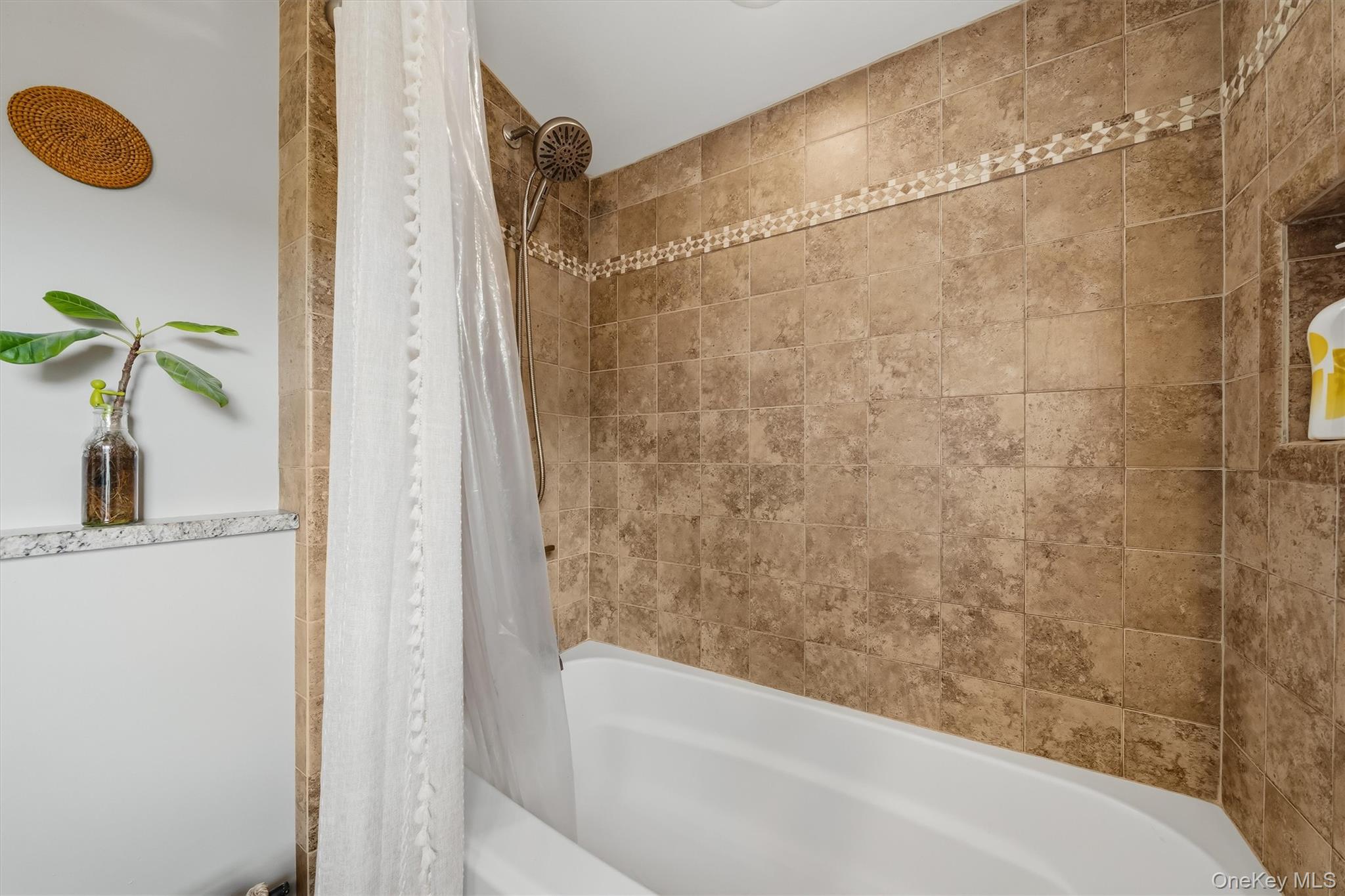 7 Nelson Street Property Photo 24