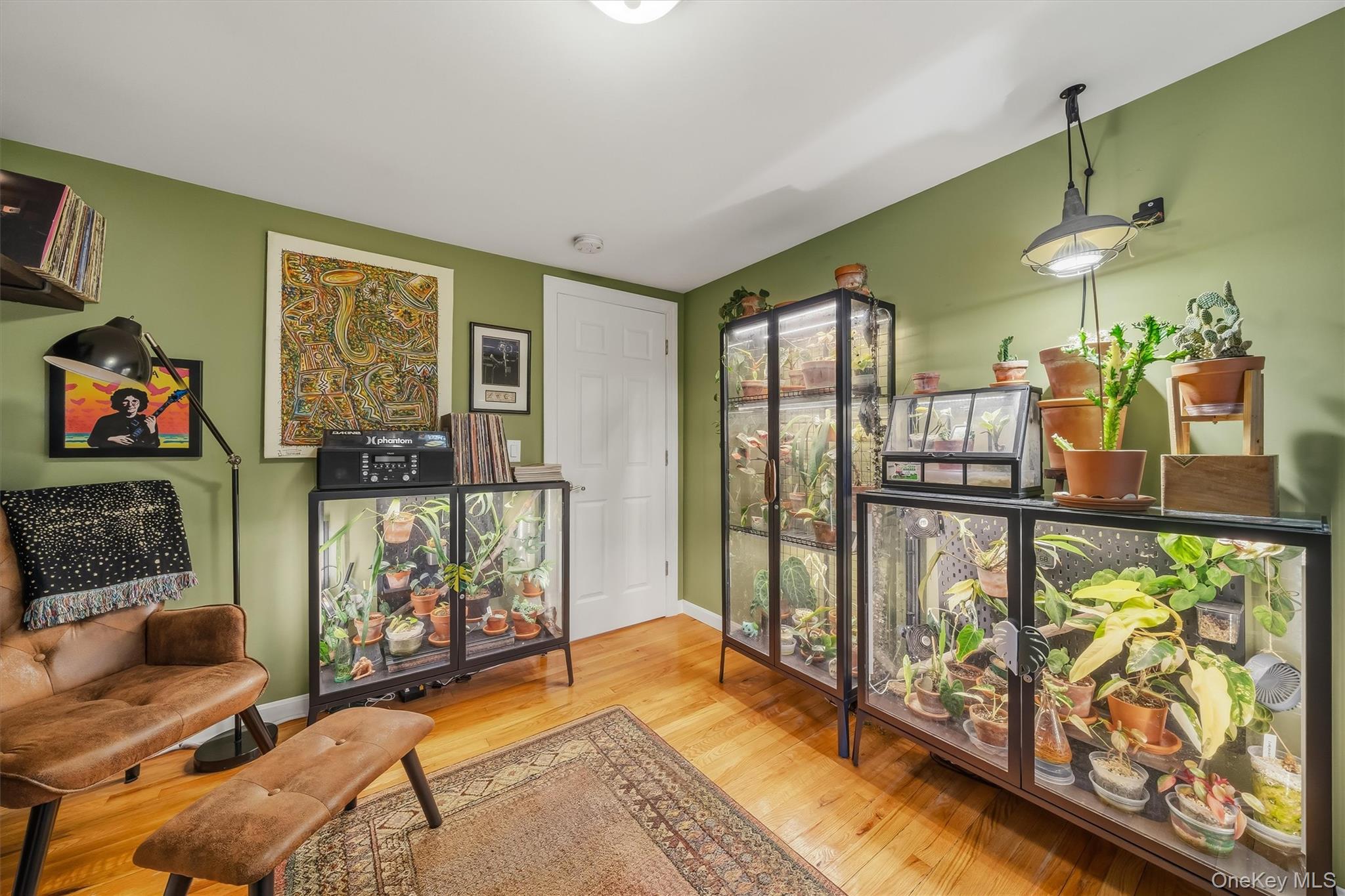 7 Nelson Street Property Photo 28