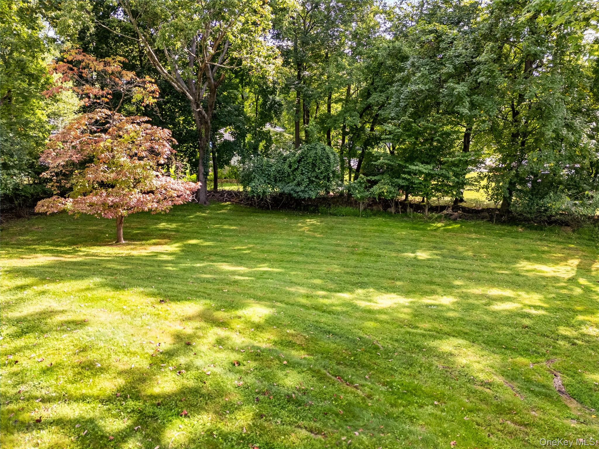 92 Kings Highway Property Photo 7
