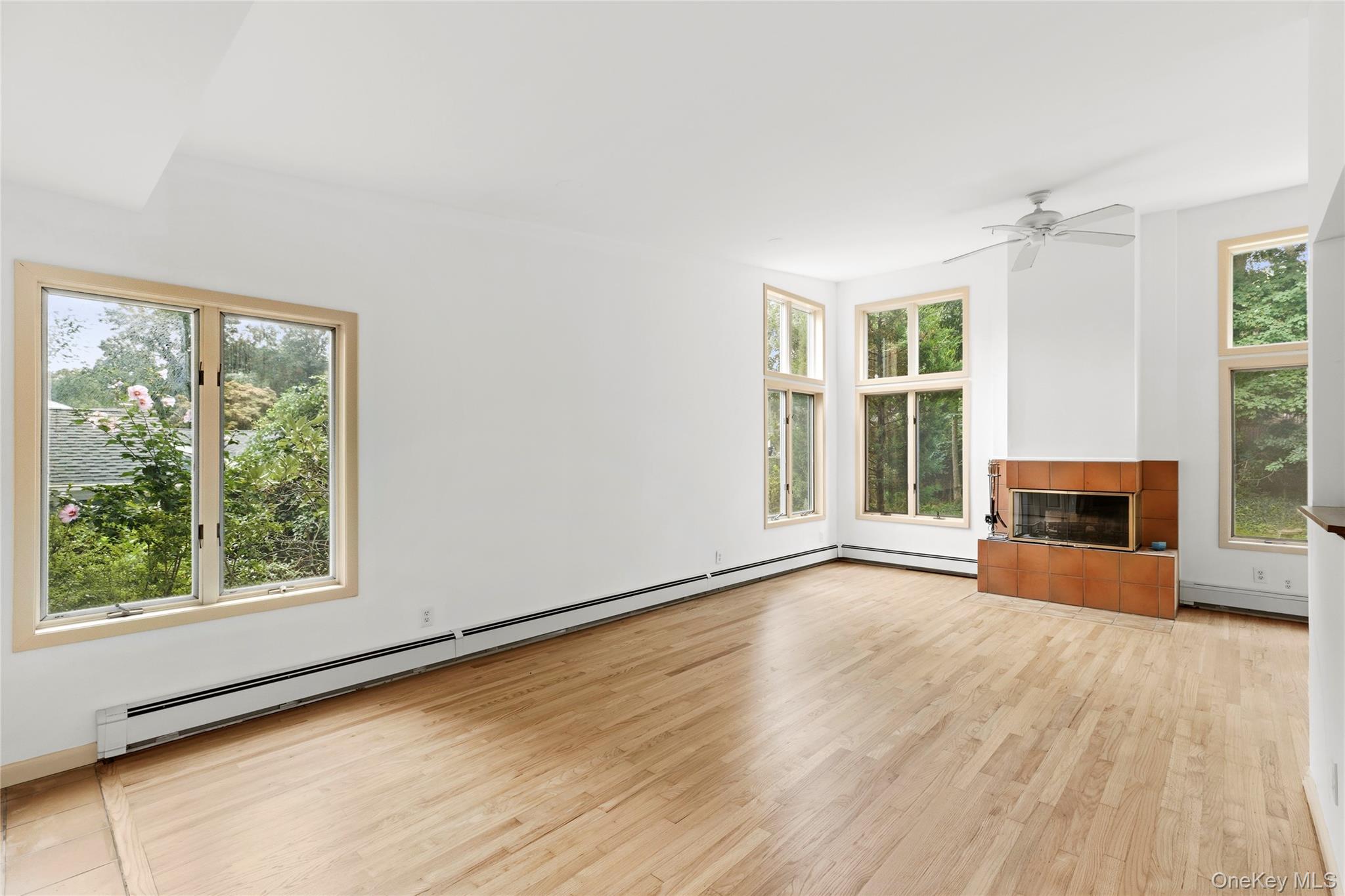 41 Shirley Street Property Photo 2