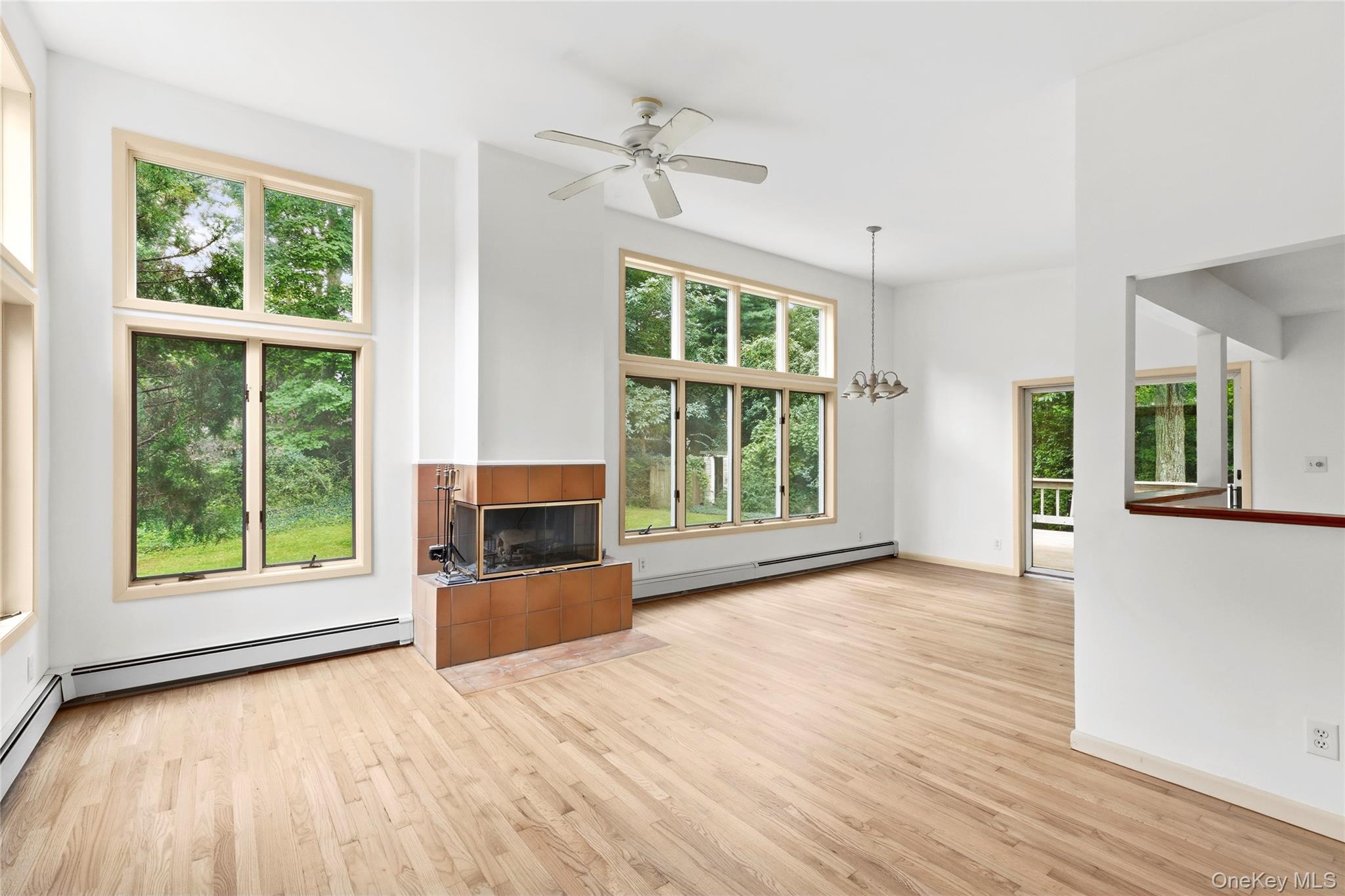 41 Shirley Street Property Photo 3