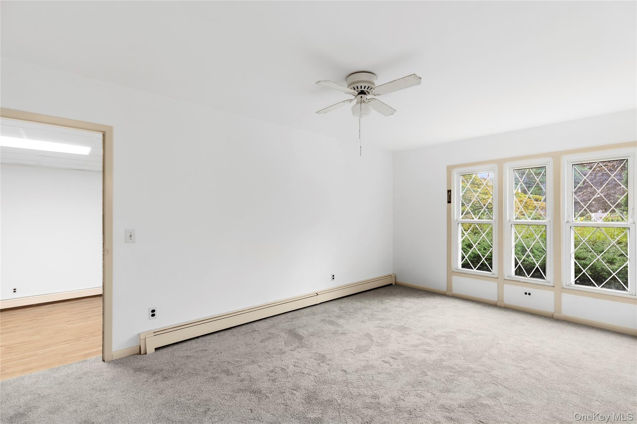 41 Shirley Street Property Photo 7