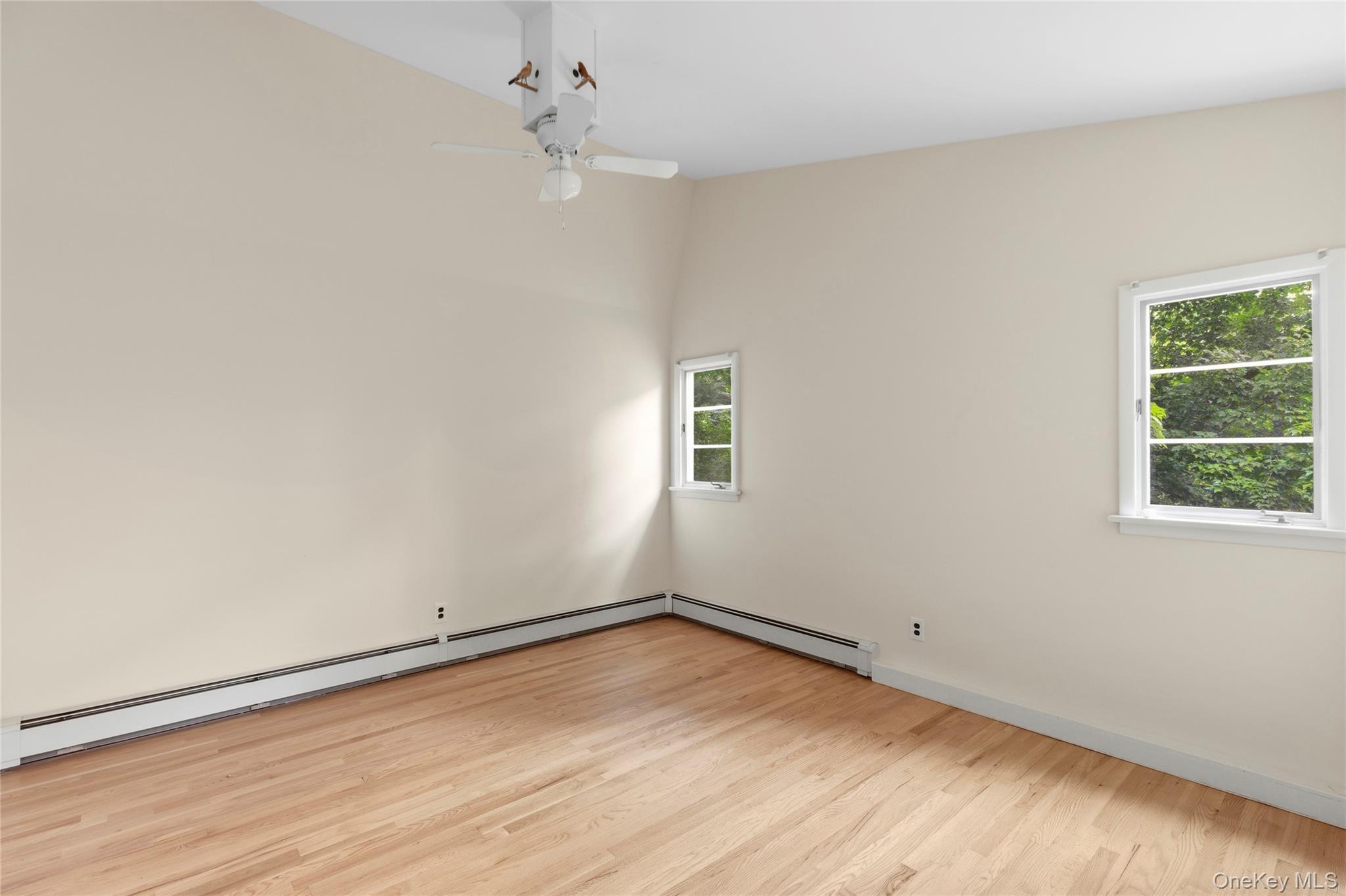 41 Shirley Street Property Photo 11