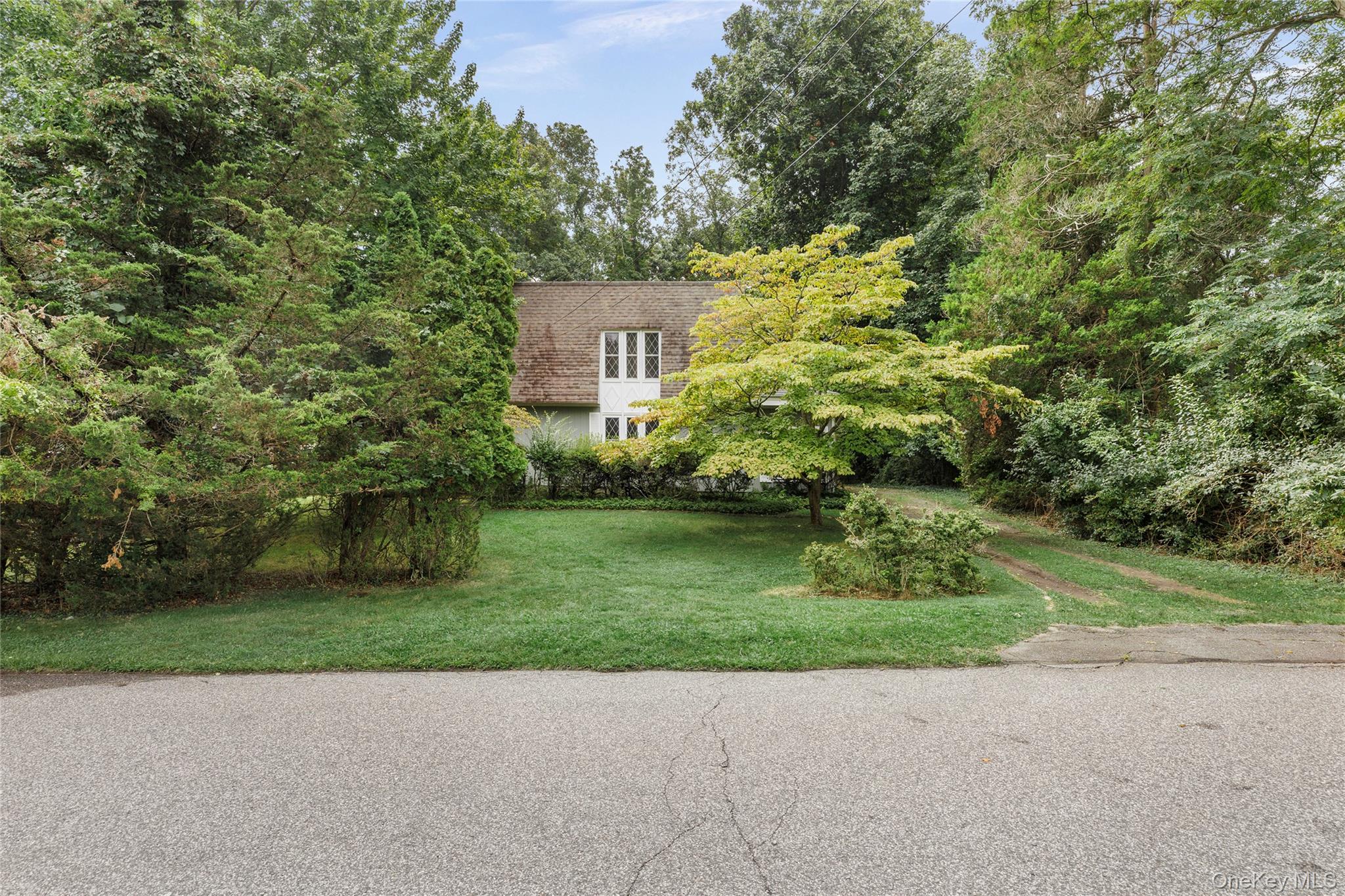 41 Shirley Street Property Photo 15