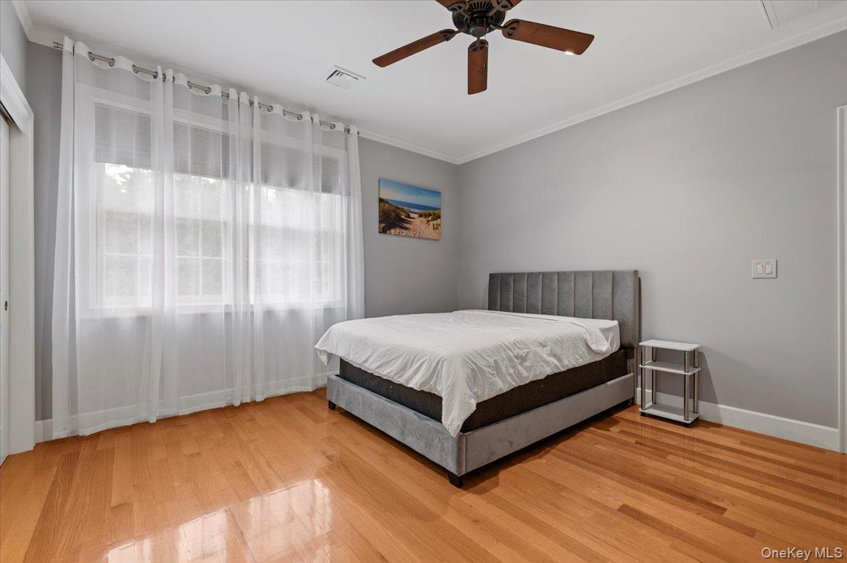 33a Newtown Road Property Photo 23