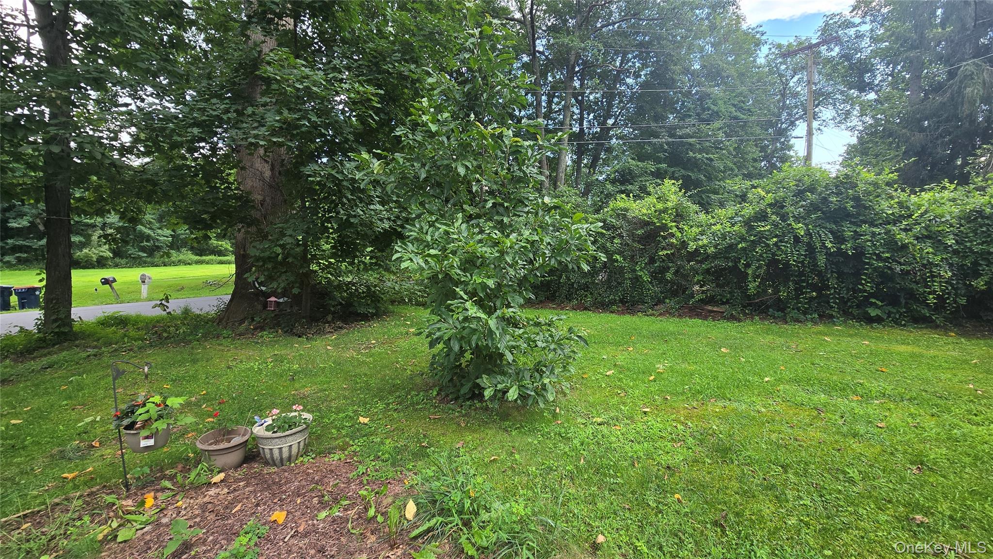 265 Old Pawling Road Property Photo 5