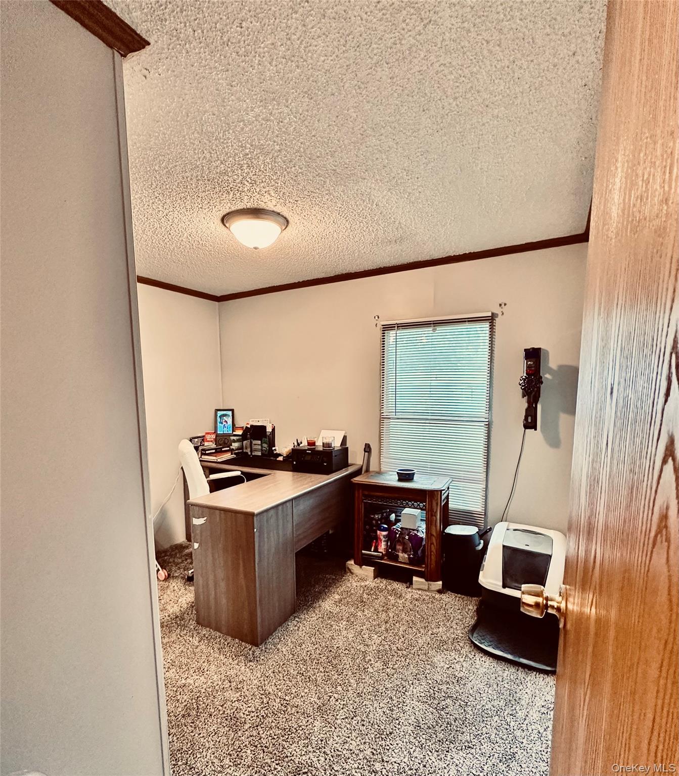 65 Water Loop Property Photo 14