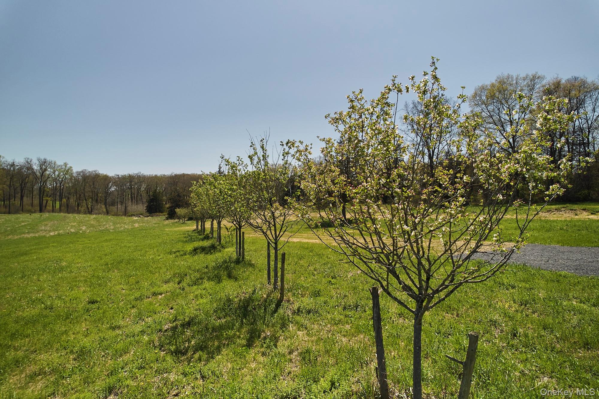 74 Fox Lane Property Photo 34