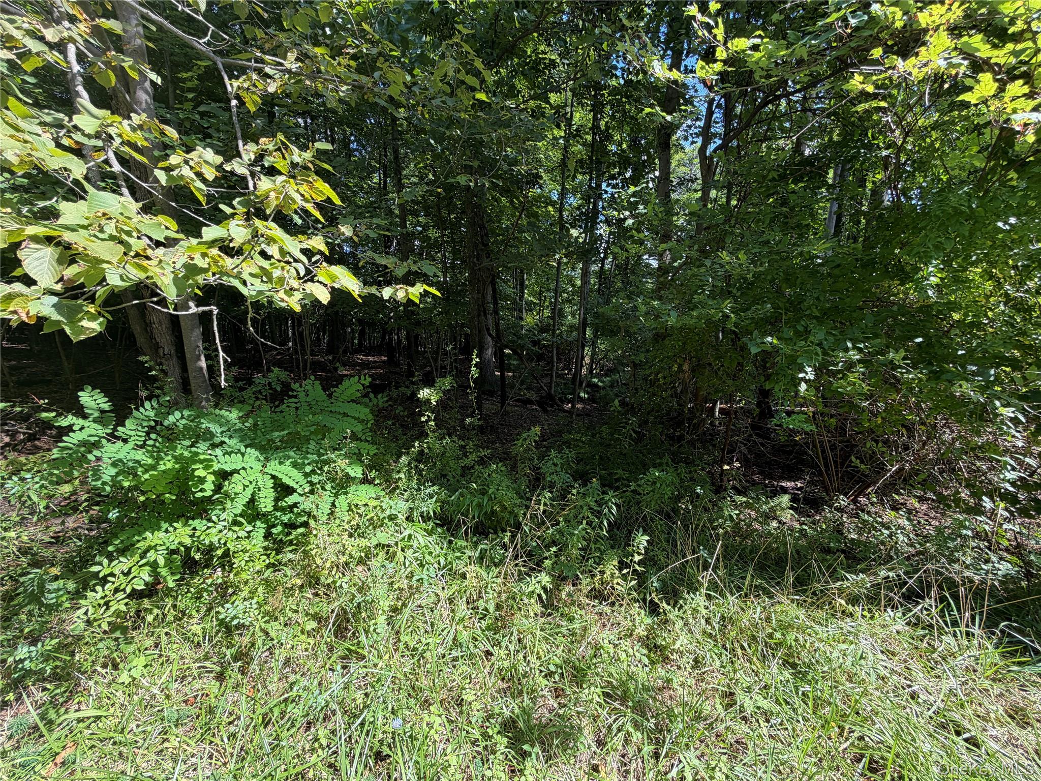 Lot 20.1 Mt Prosper Road Property Photo 1
