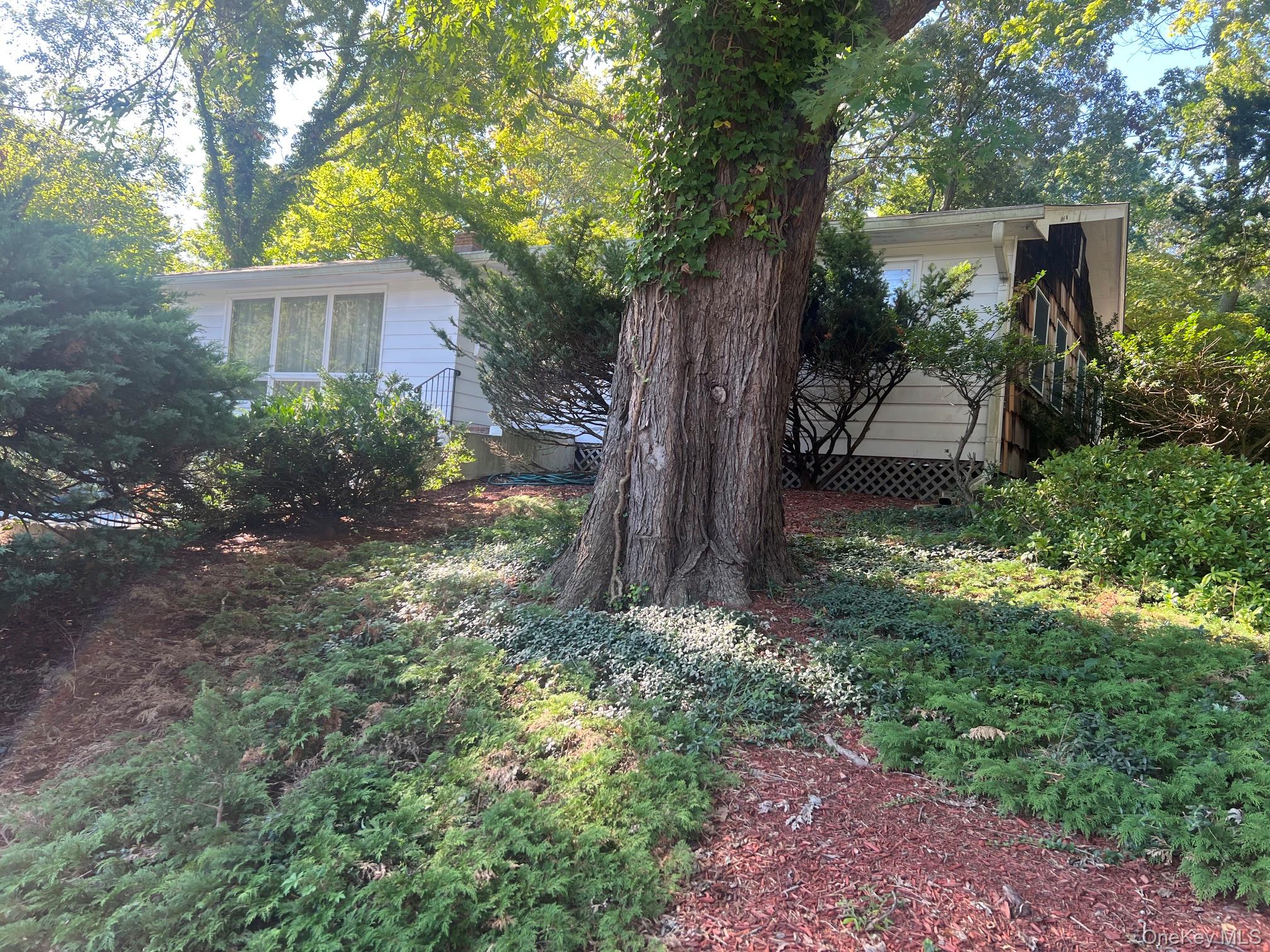 40 Laurel Drive Property Photo 24