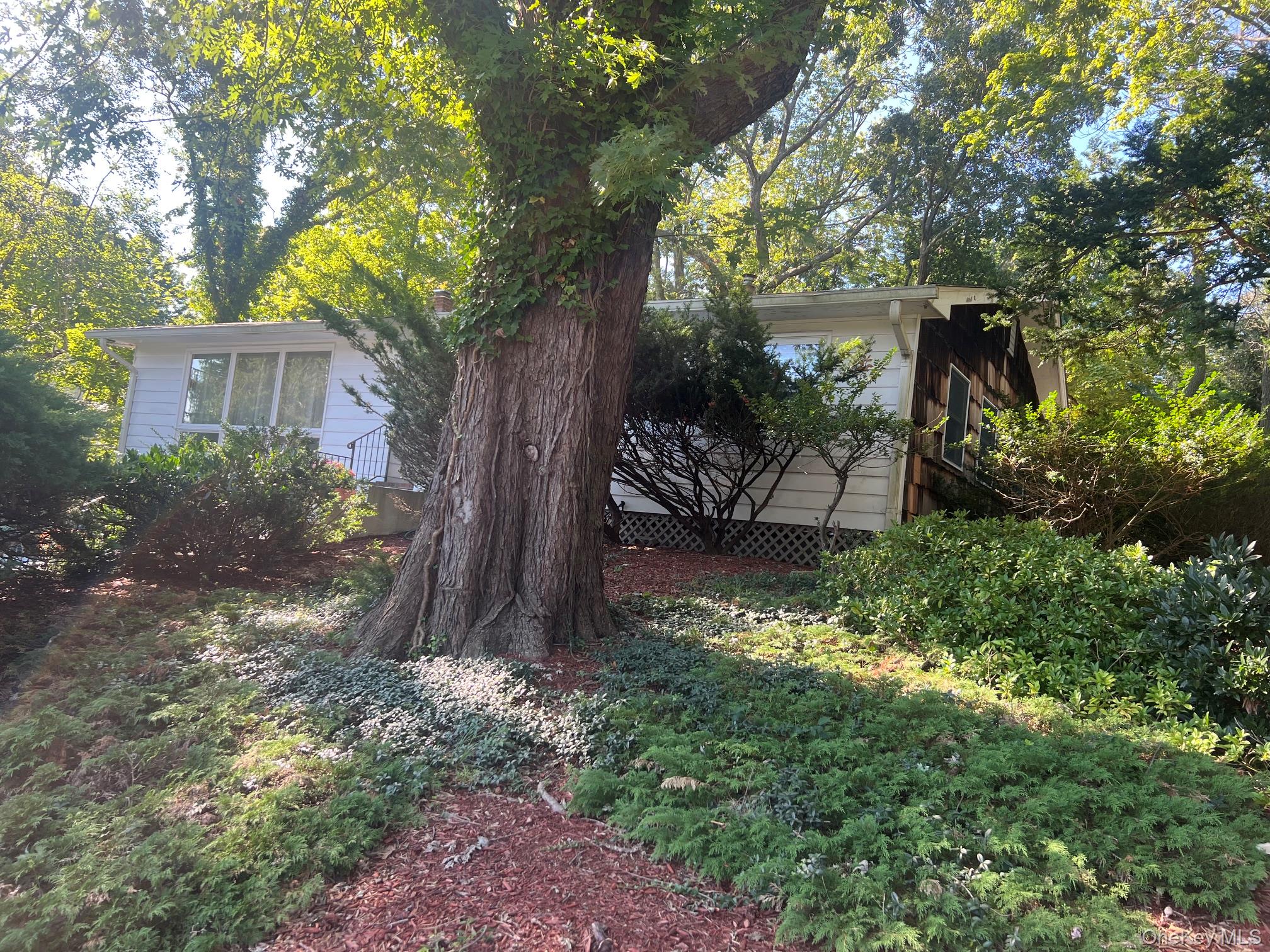 40 Laurel Drive Property Photo 25