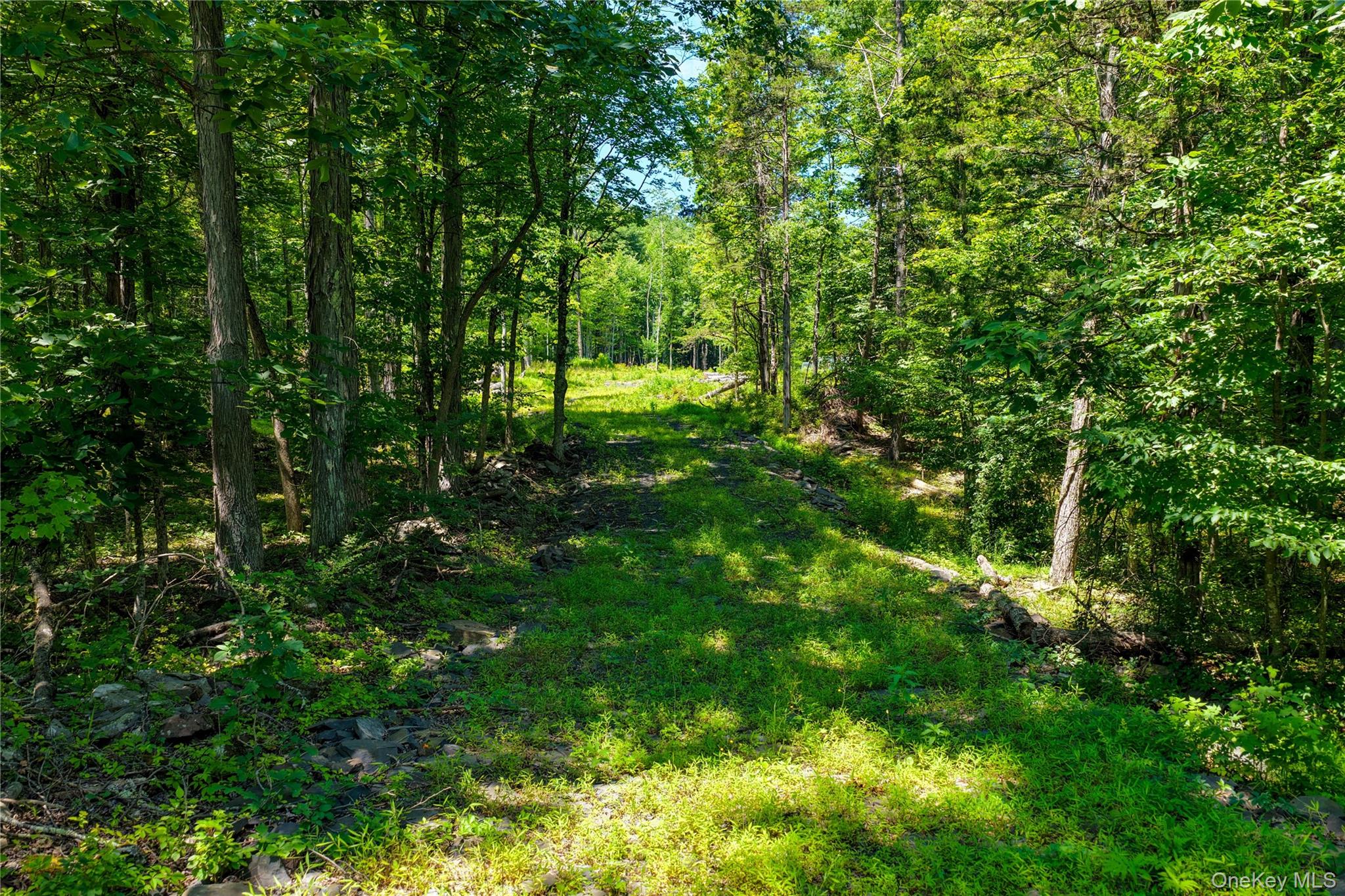 153 Roosevelt Avenue Property Photo 3