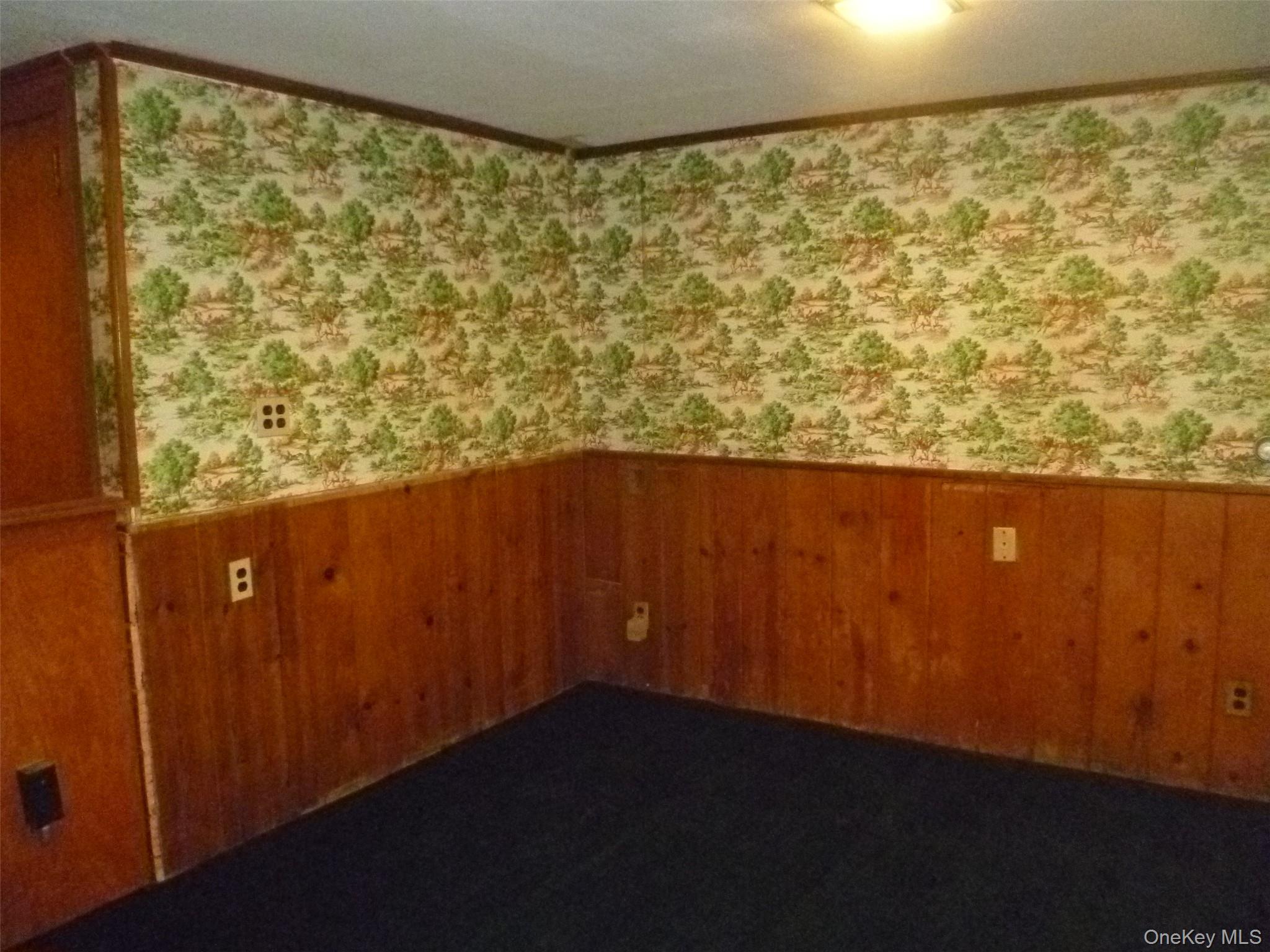 17 Chestnut Lane Property Photo 37