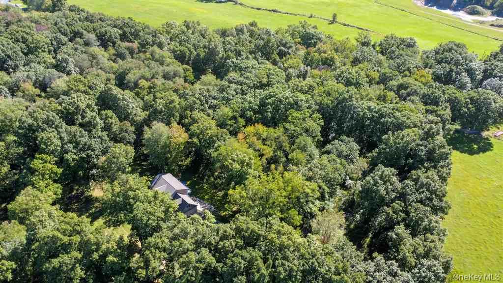 25 Pirog Road Property Photo 47