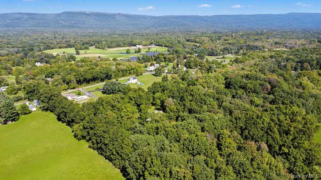 25 Pirog Road Property Photo 48