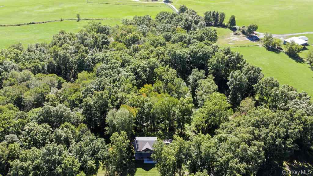 25 Pirog Road Property Photo 50