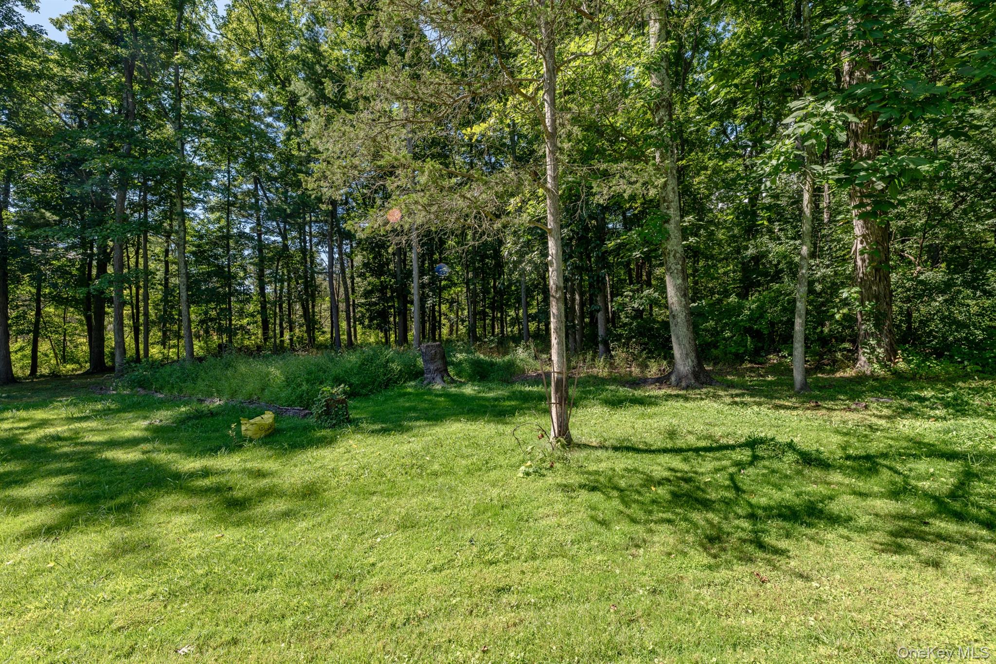 28 Buck Lane Property Photo 43