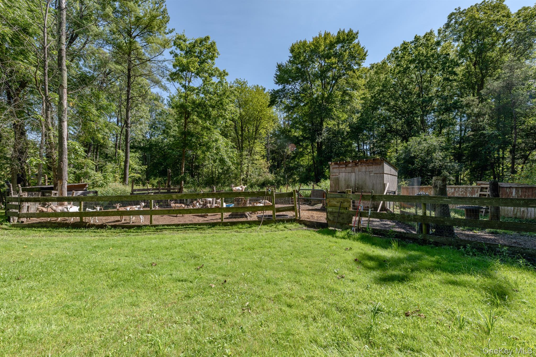 28 Buck Lane Property Photo 46