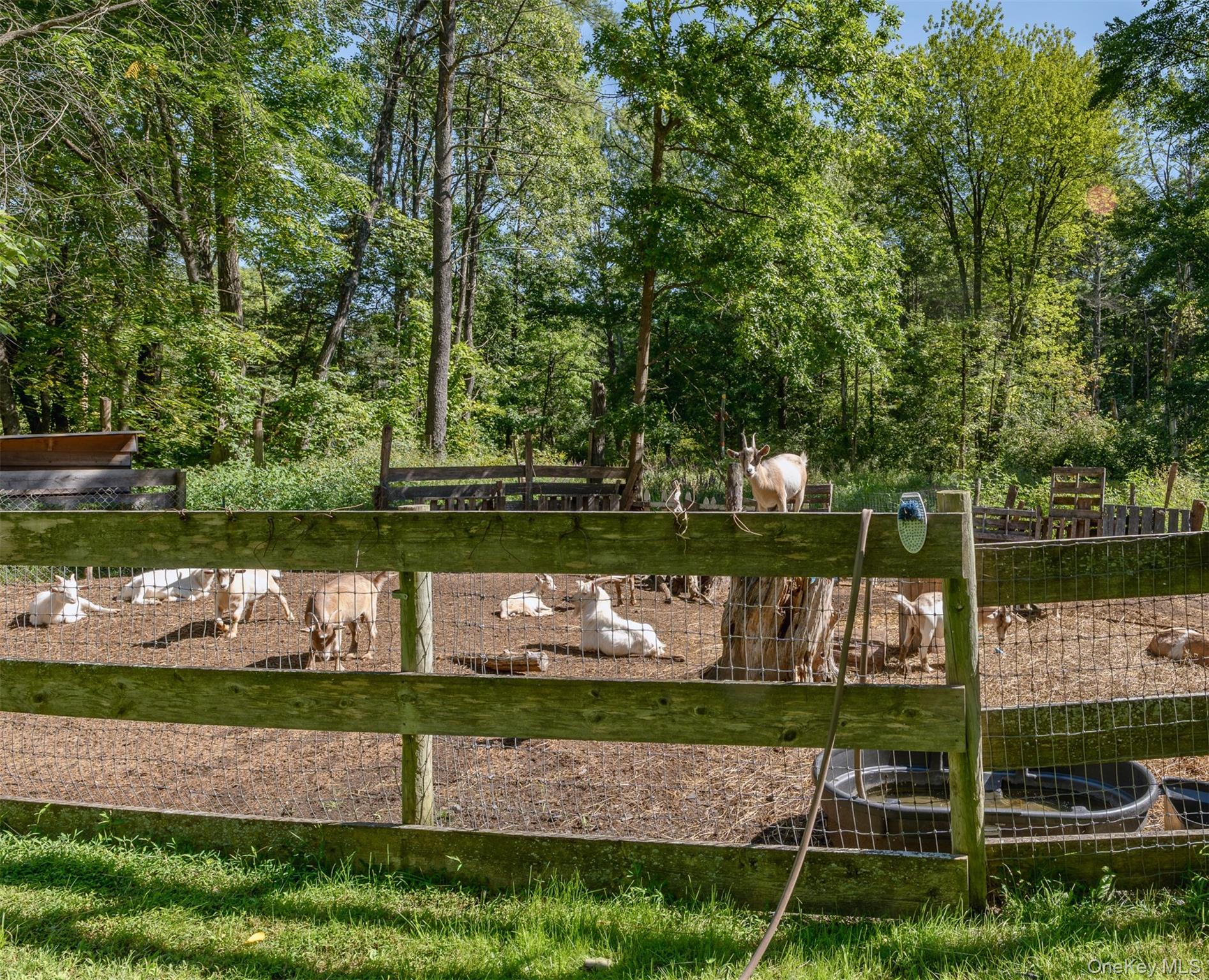 28 Buck Lane Property Photo 47