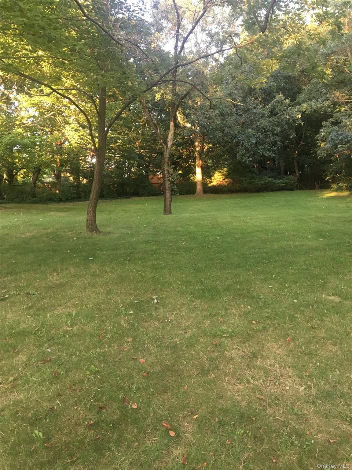 4 E Park Drive Property Photo 5