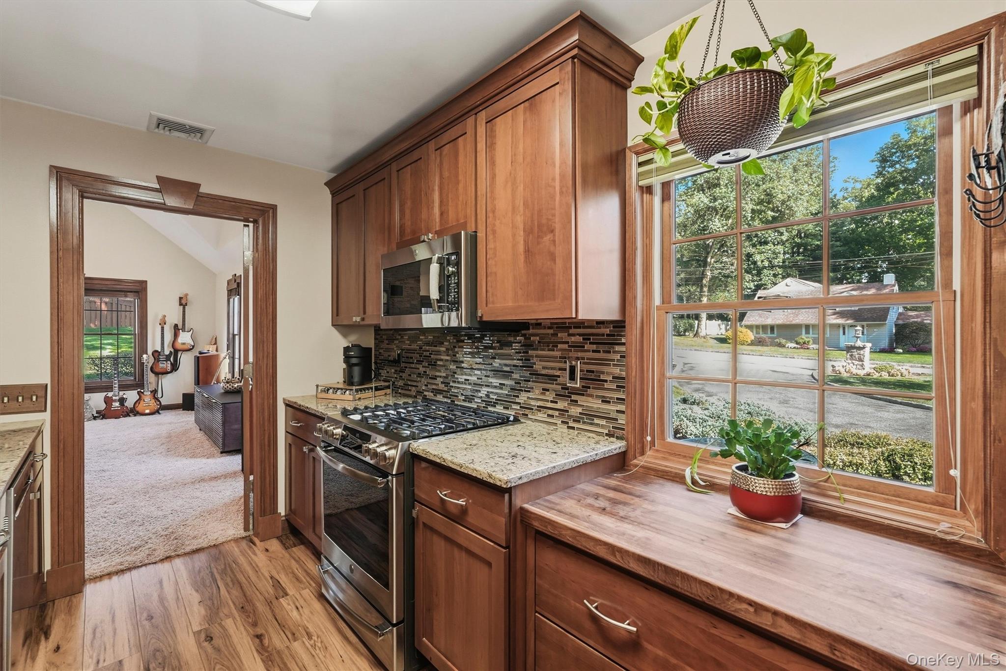 113 Buena Vista Drive Property Photo 19