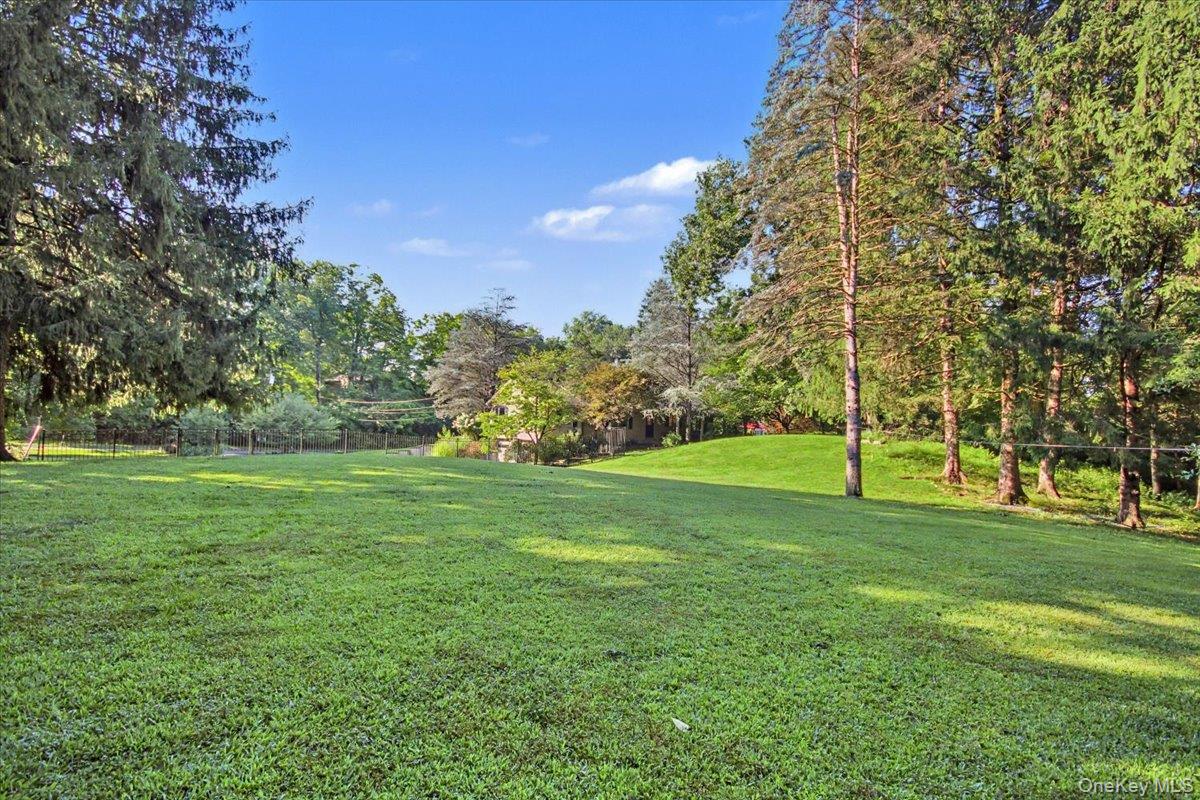 27 Reed Road Property Photo 39