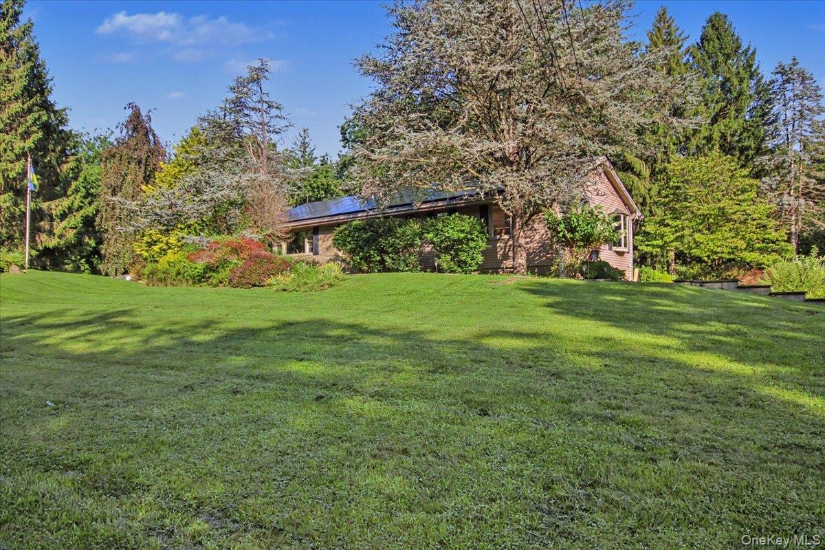 27 Reed Road Property Photo 41