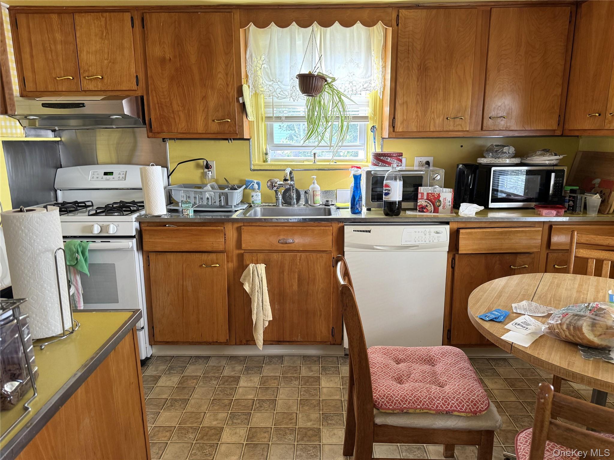 20 Elaine Terrace Property Photo 10