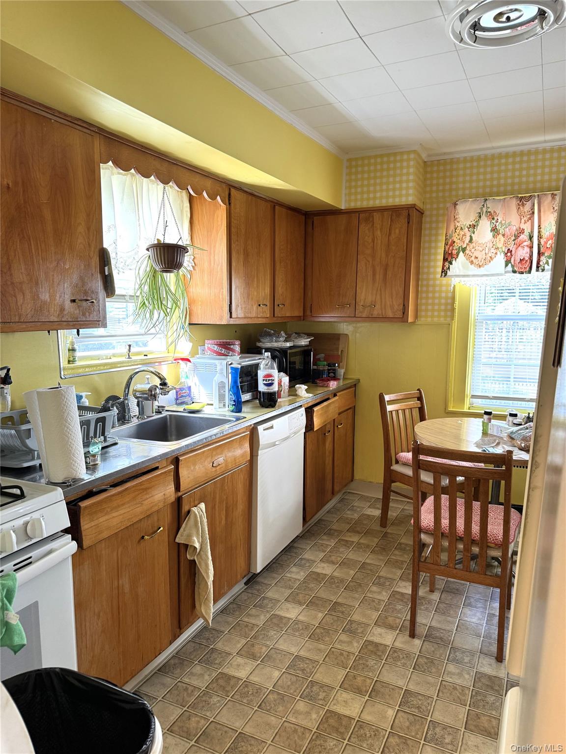 20 Elaine Terrace Property Photo 11