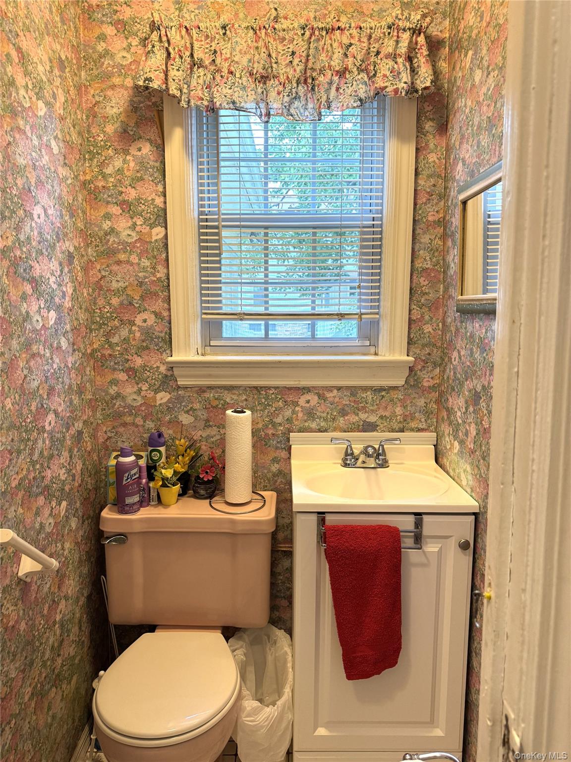 20 Elaine Terrace Property Photo 14
