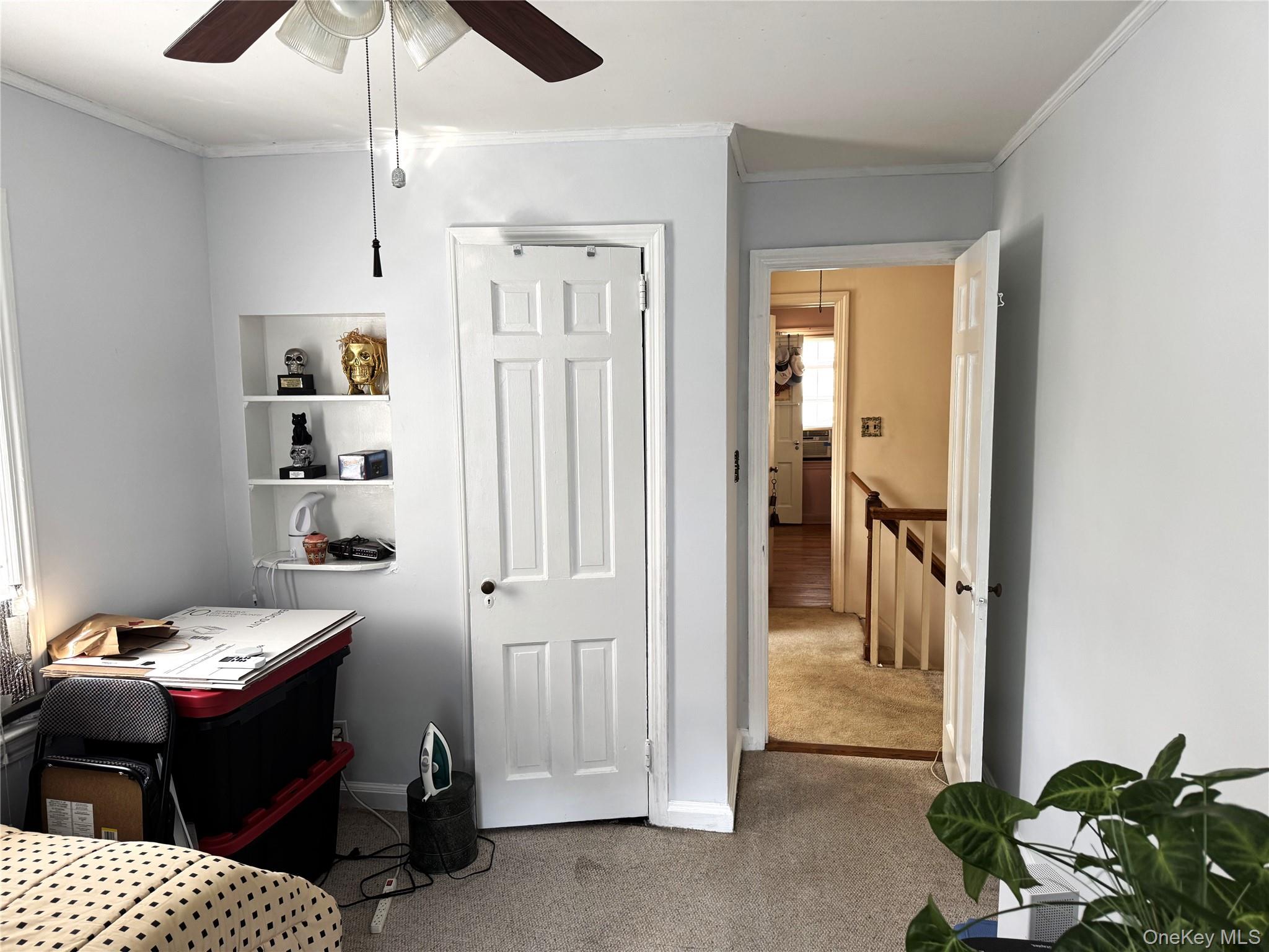 20 Elaine Terrace Property Photo 21
