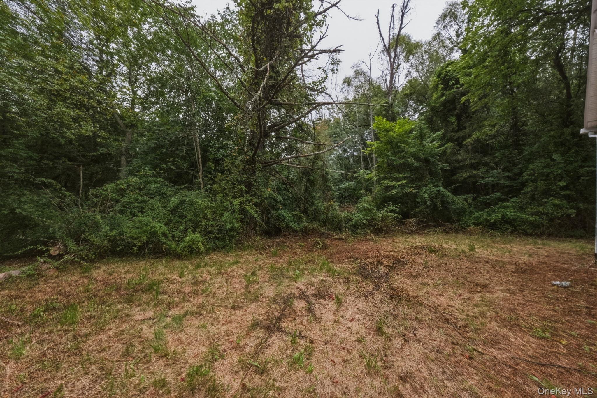395 Route 17k Property Photo 17