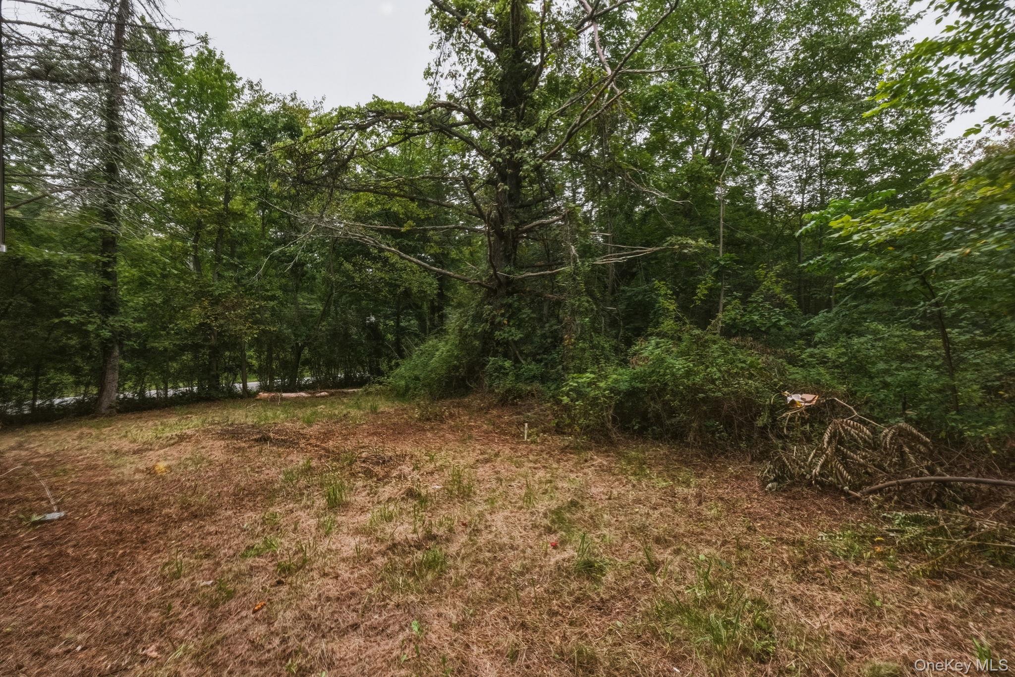 395 Route 17k Property Photo 18