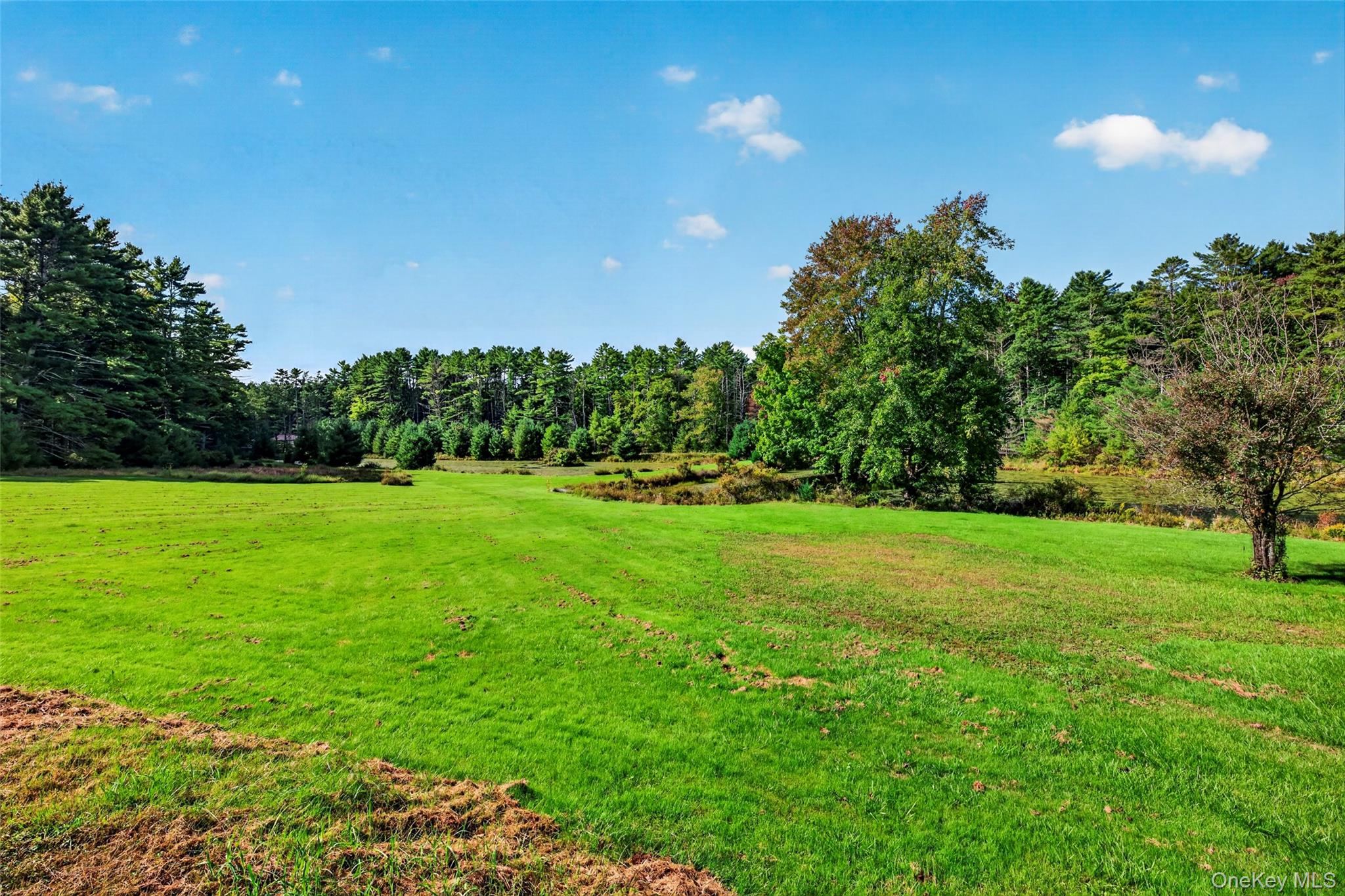 4920 State Route 97 Property Photo 2