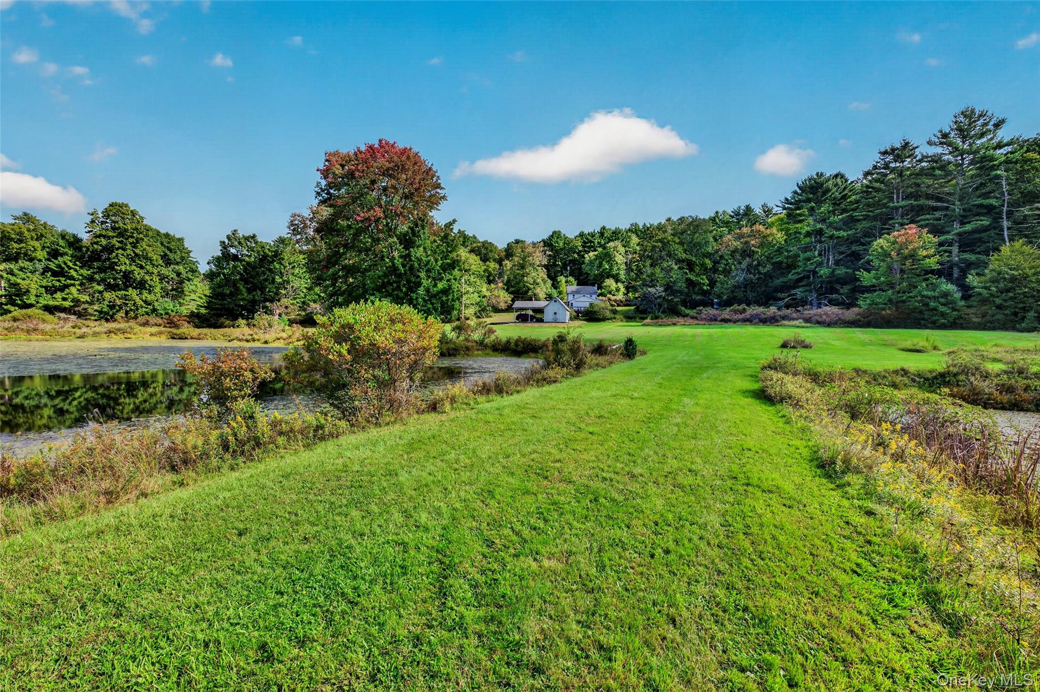 4920 State Route 97 Property Photo 7