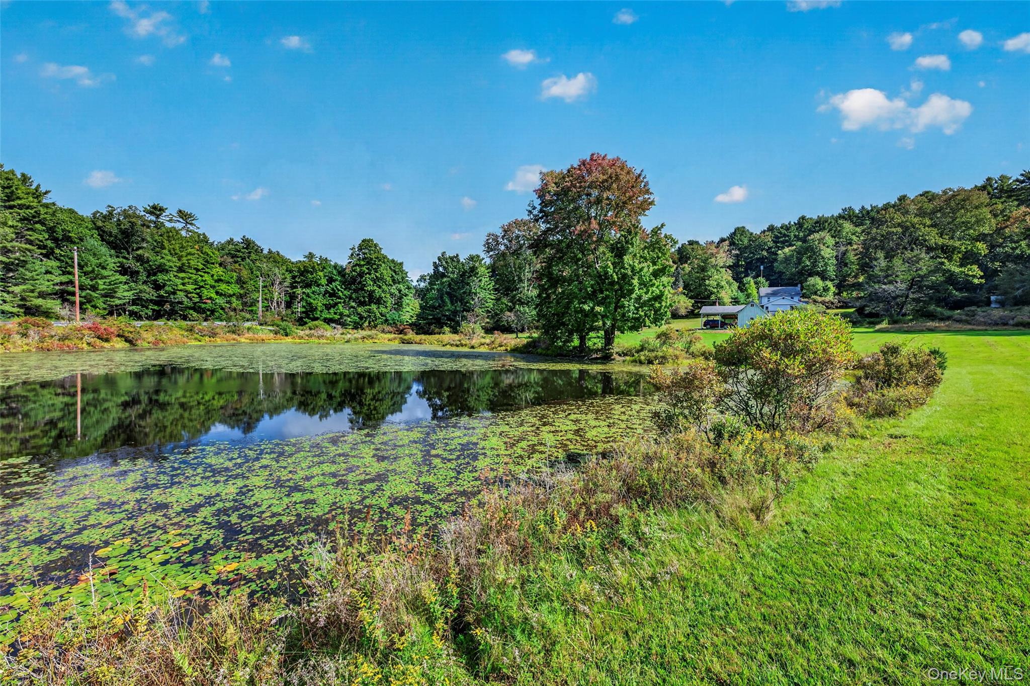4920 State Route 97 Property Photo 8