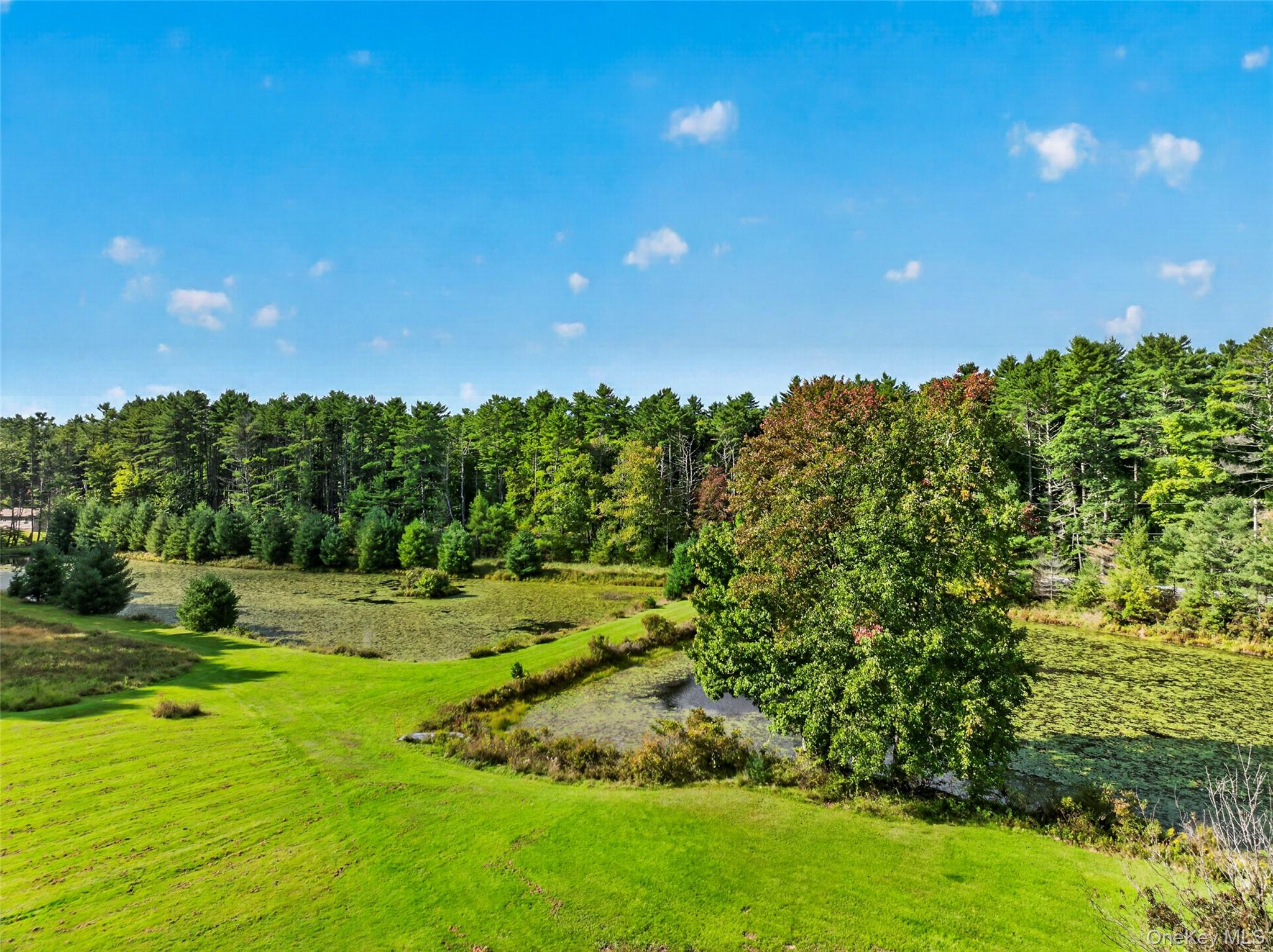 4920 State Route 97 Property Photo 25