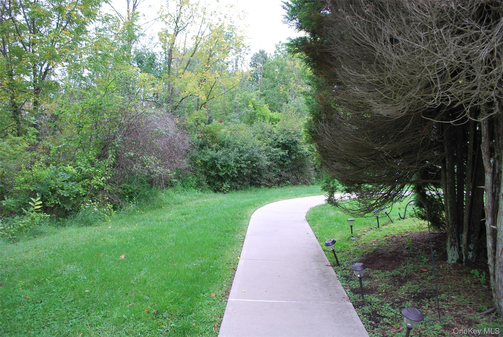 72 The Rise Property Photo 21
