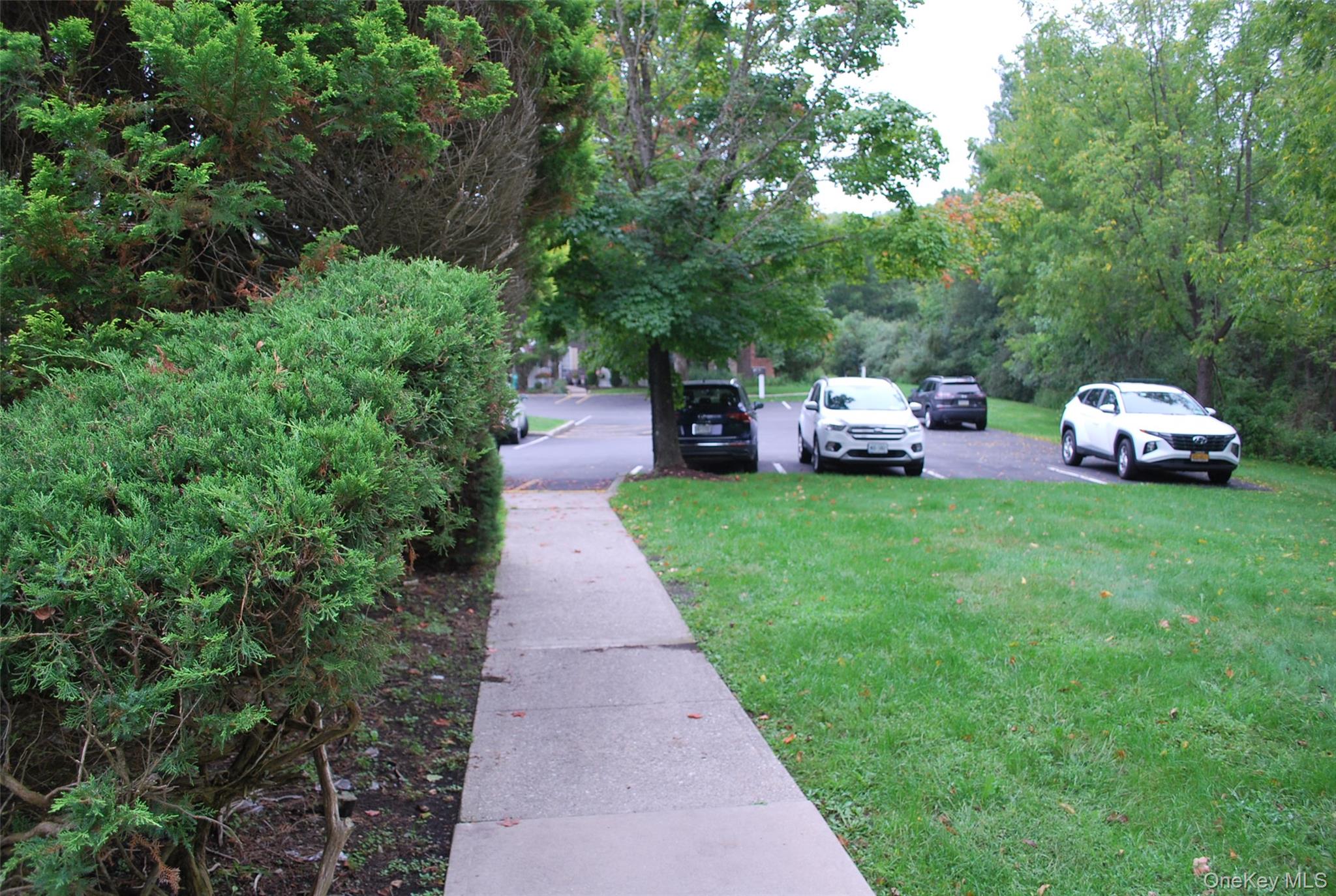 72 The Rise Property Photo 22