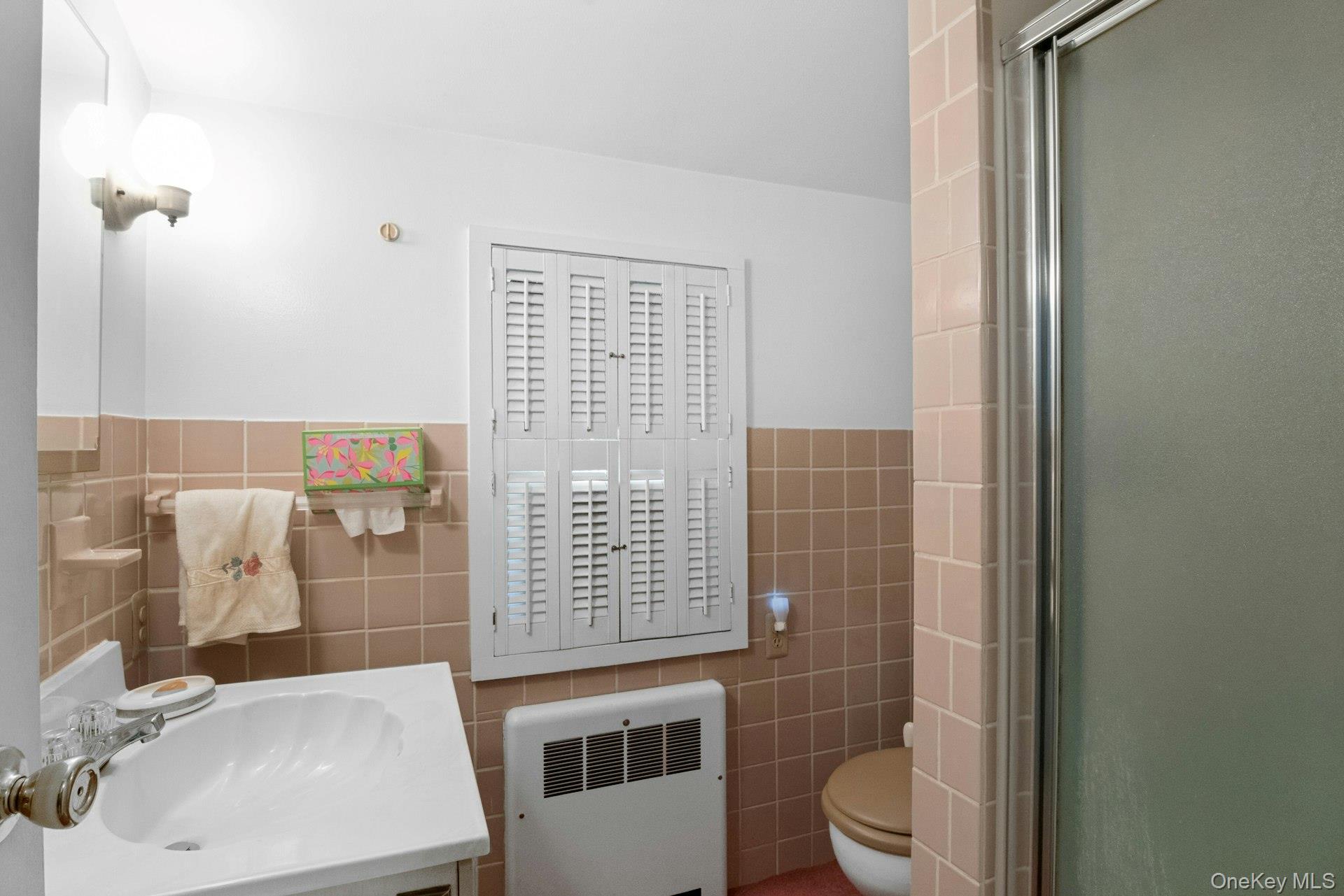 263 Pythian Avenue Property Photo 12