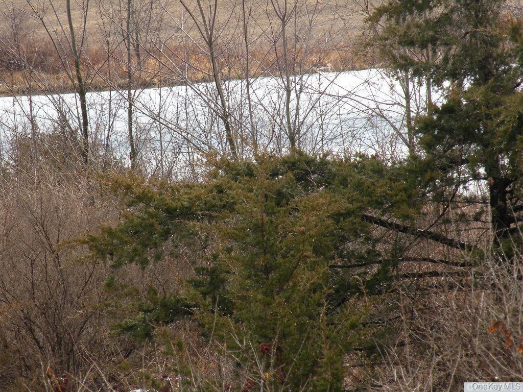 County Route 19 Property Photo 6