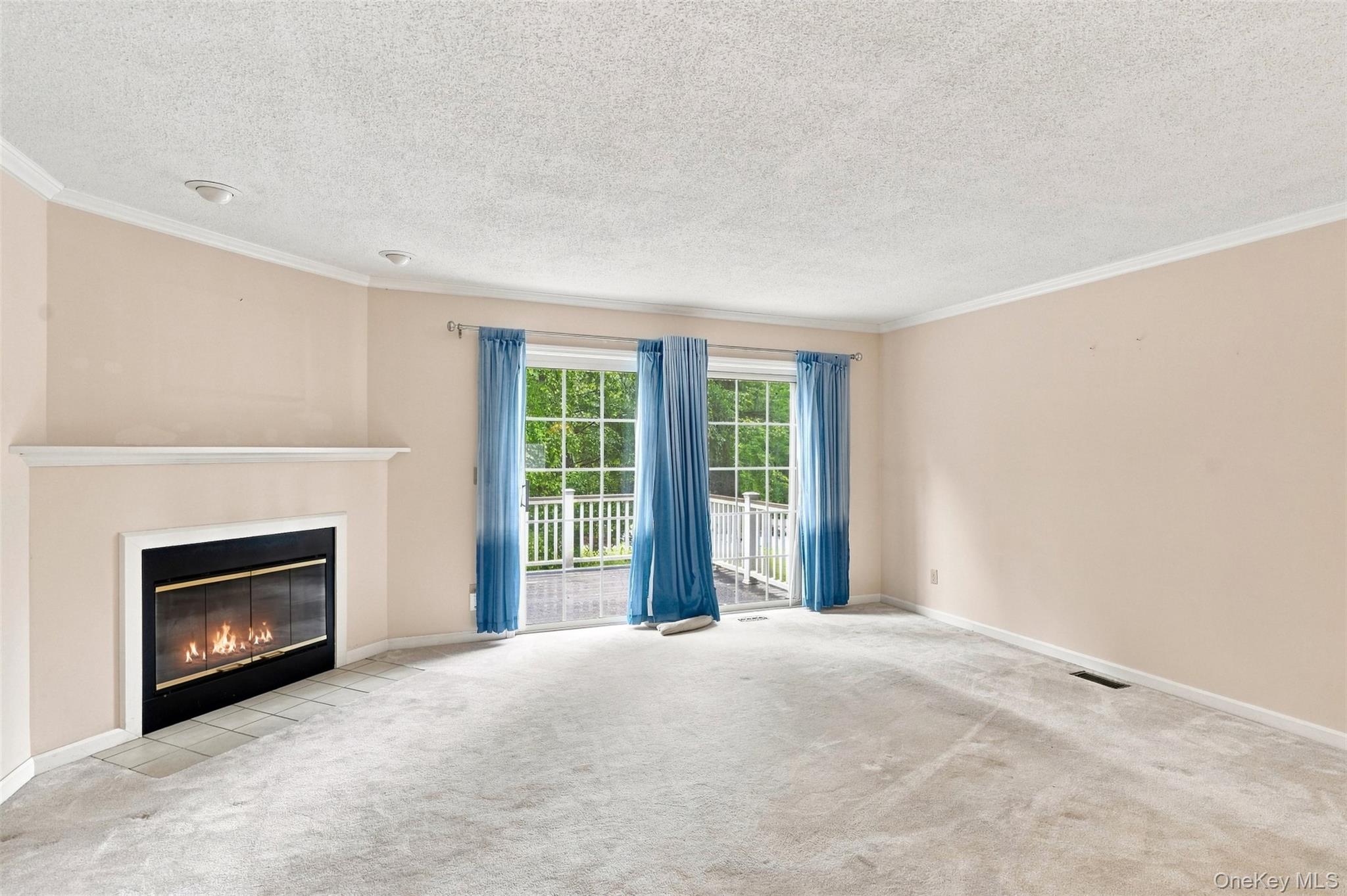 103 Kensington Court Property Photo 16